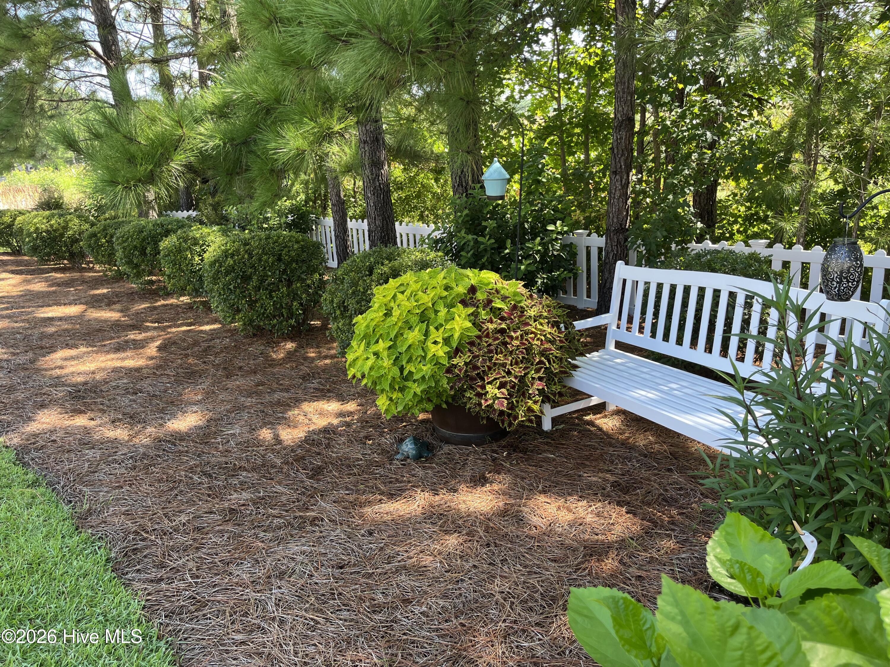 100555117 | Photo 45