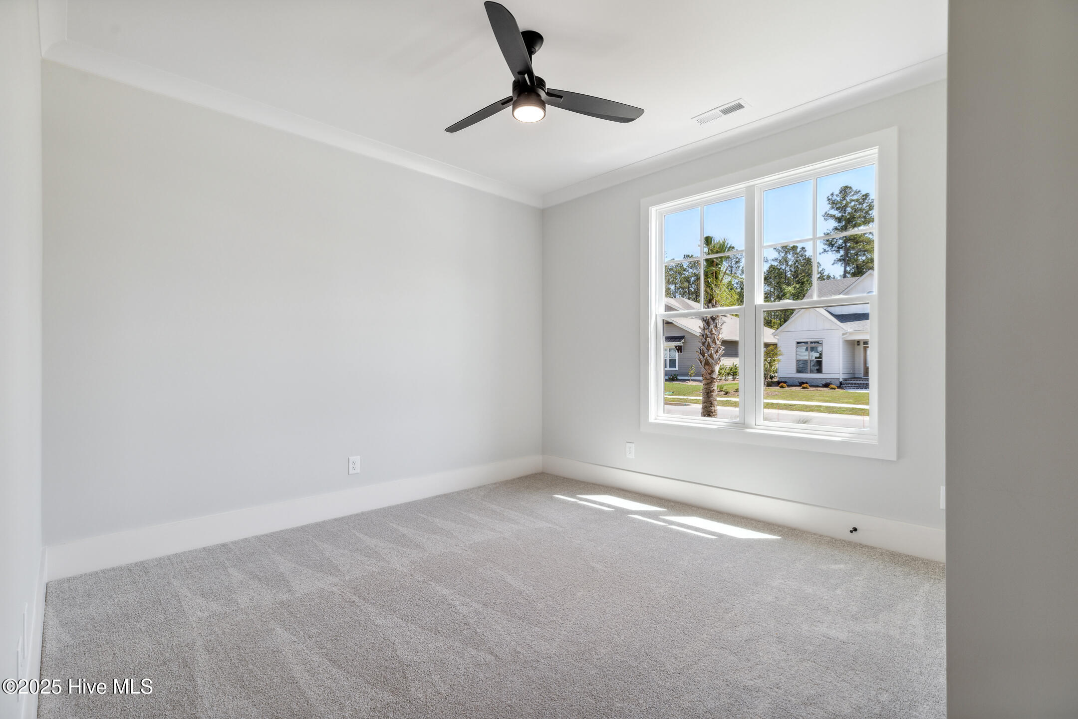 100461244 | Photo 64