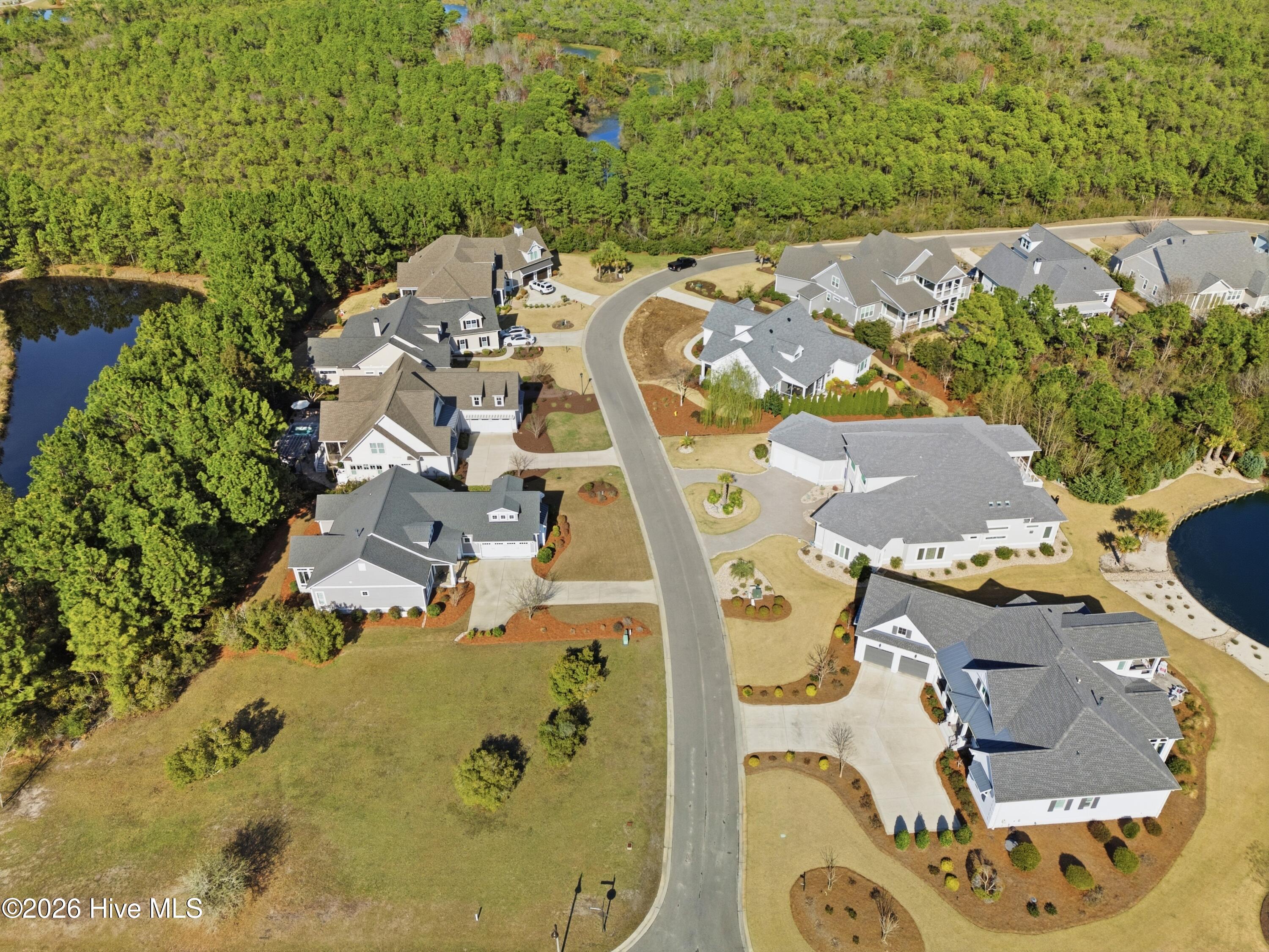 100560697 | Photo 72