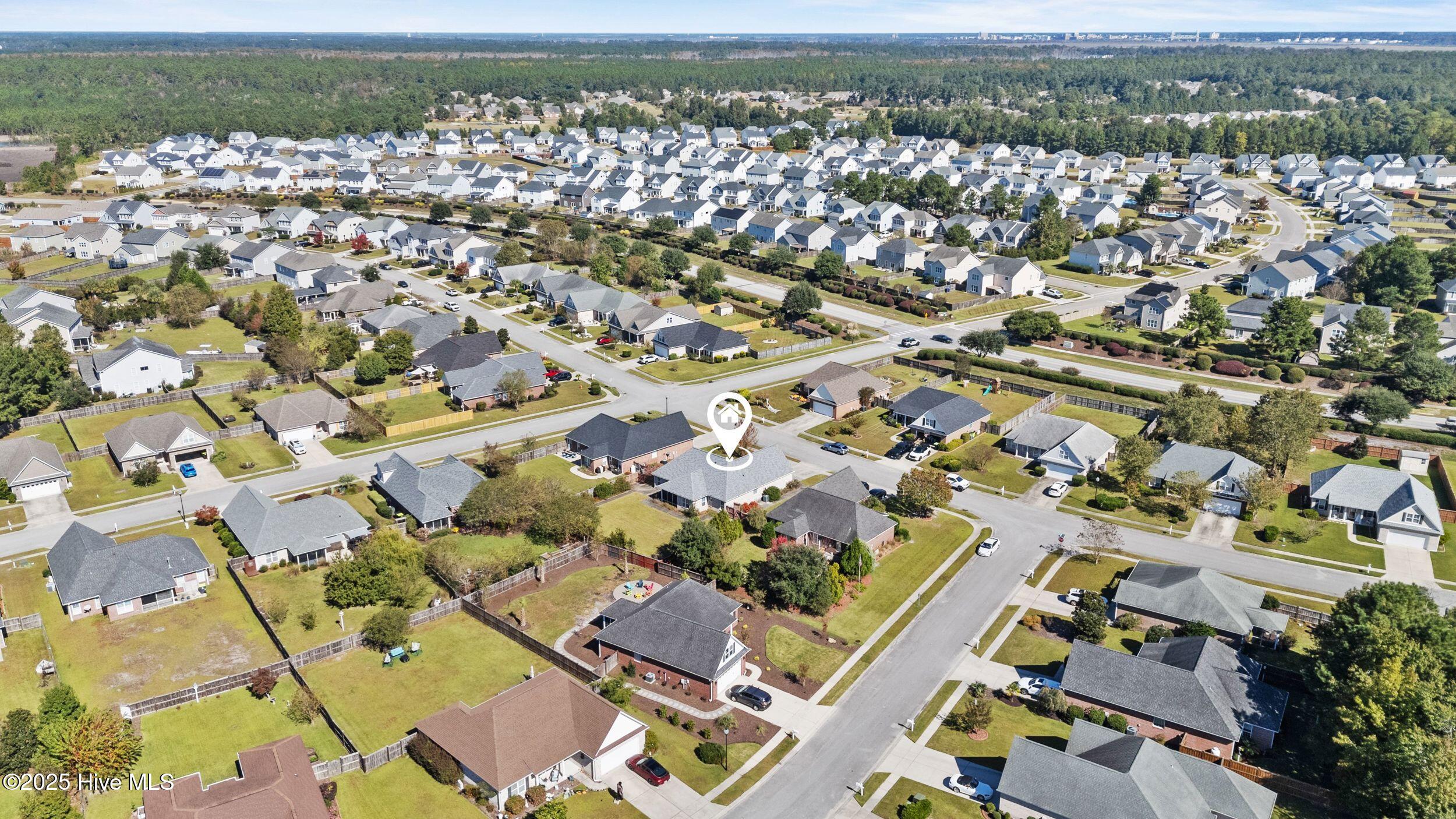 100537389 | Photo 45