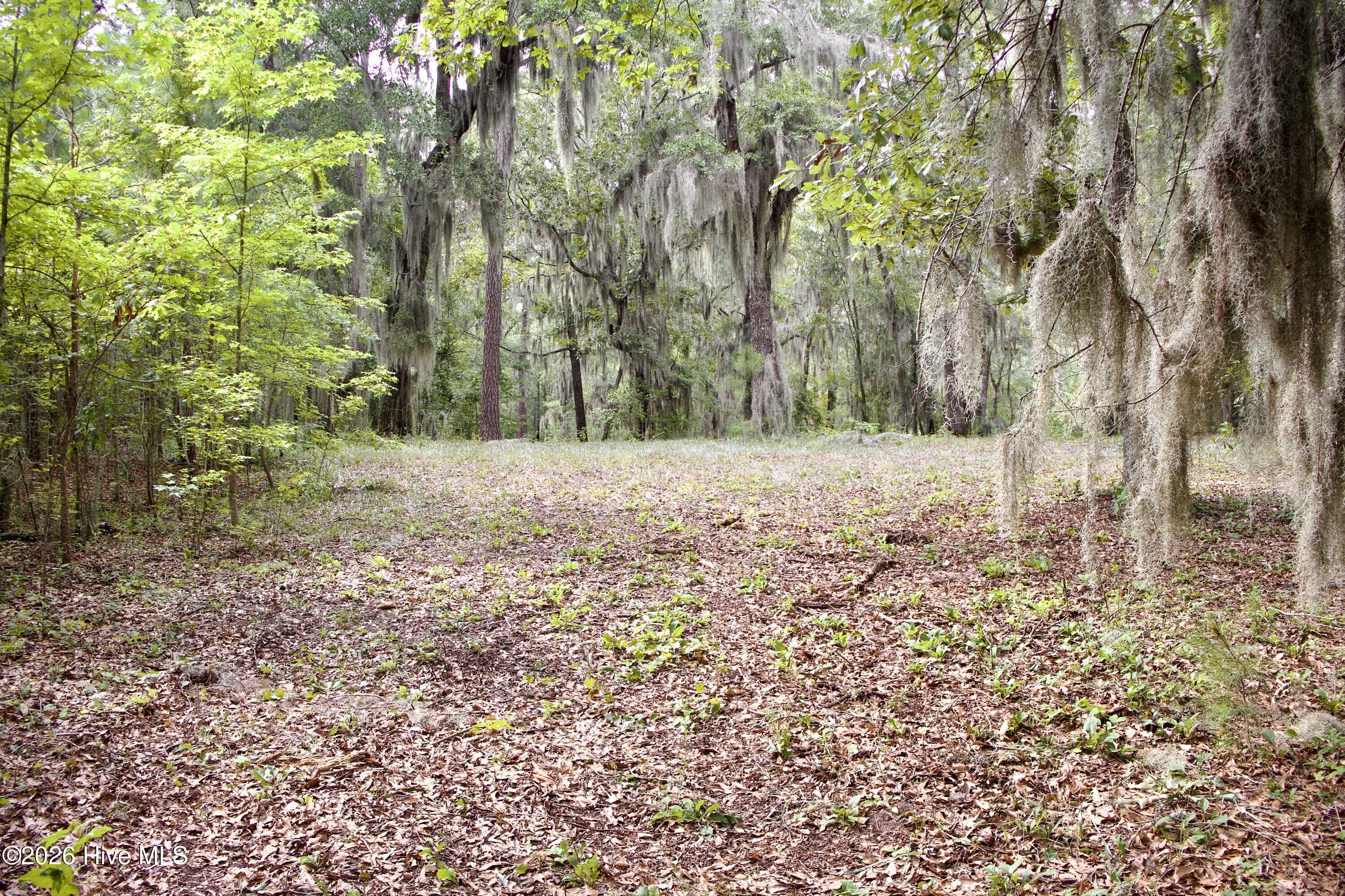 385 Sand Ridge Road,New Bern