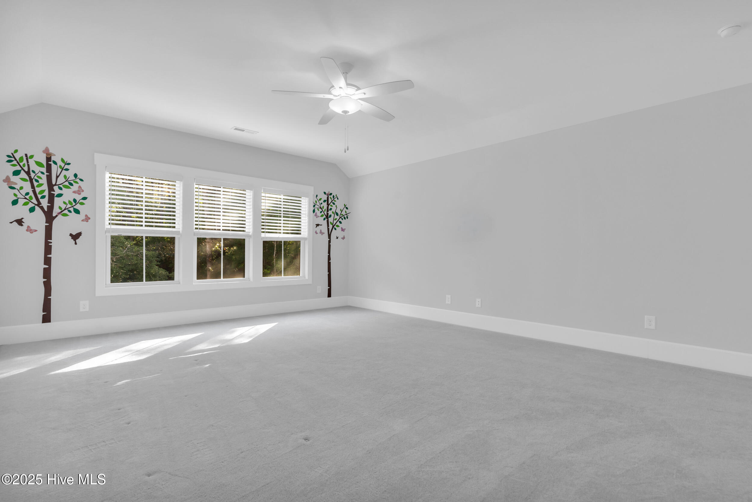 100535117 | Photo 34