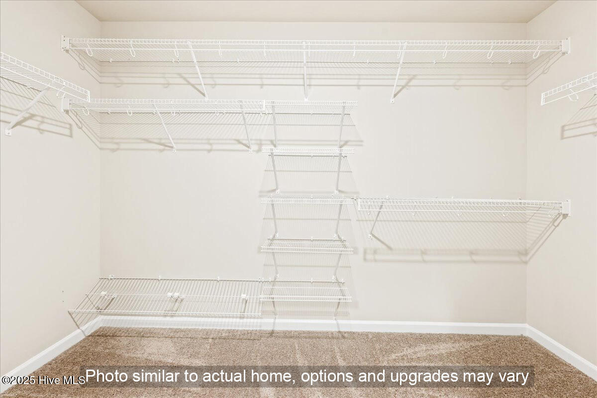 100543365 | Photo 11