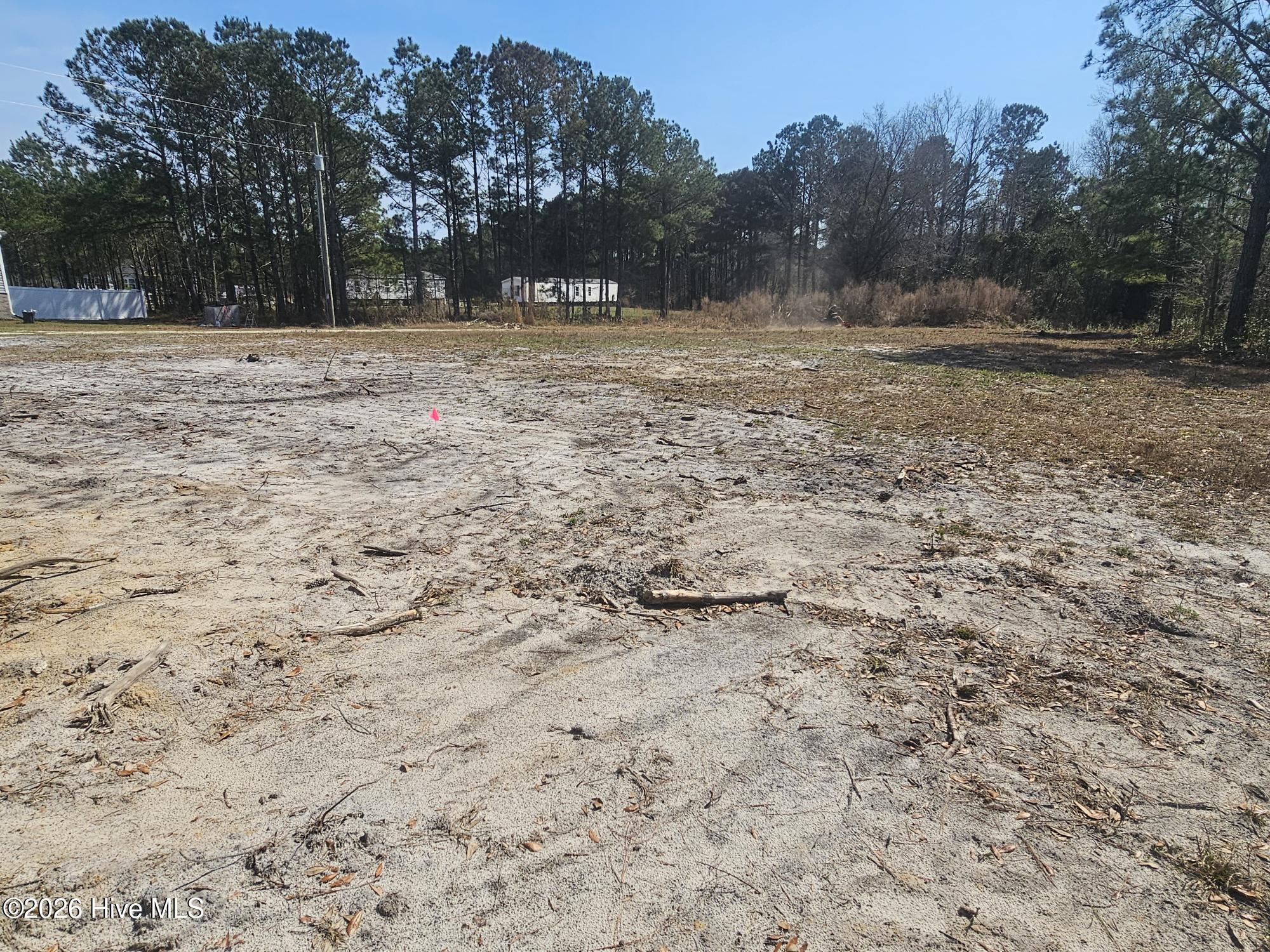 100565039 | Photo 11