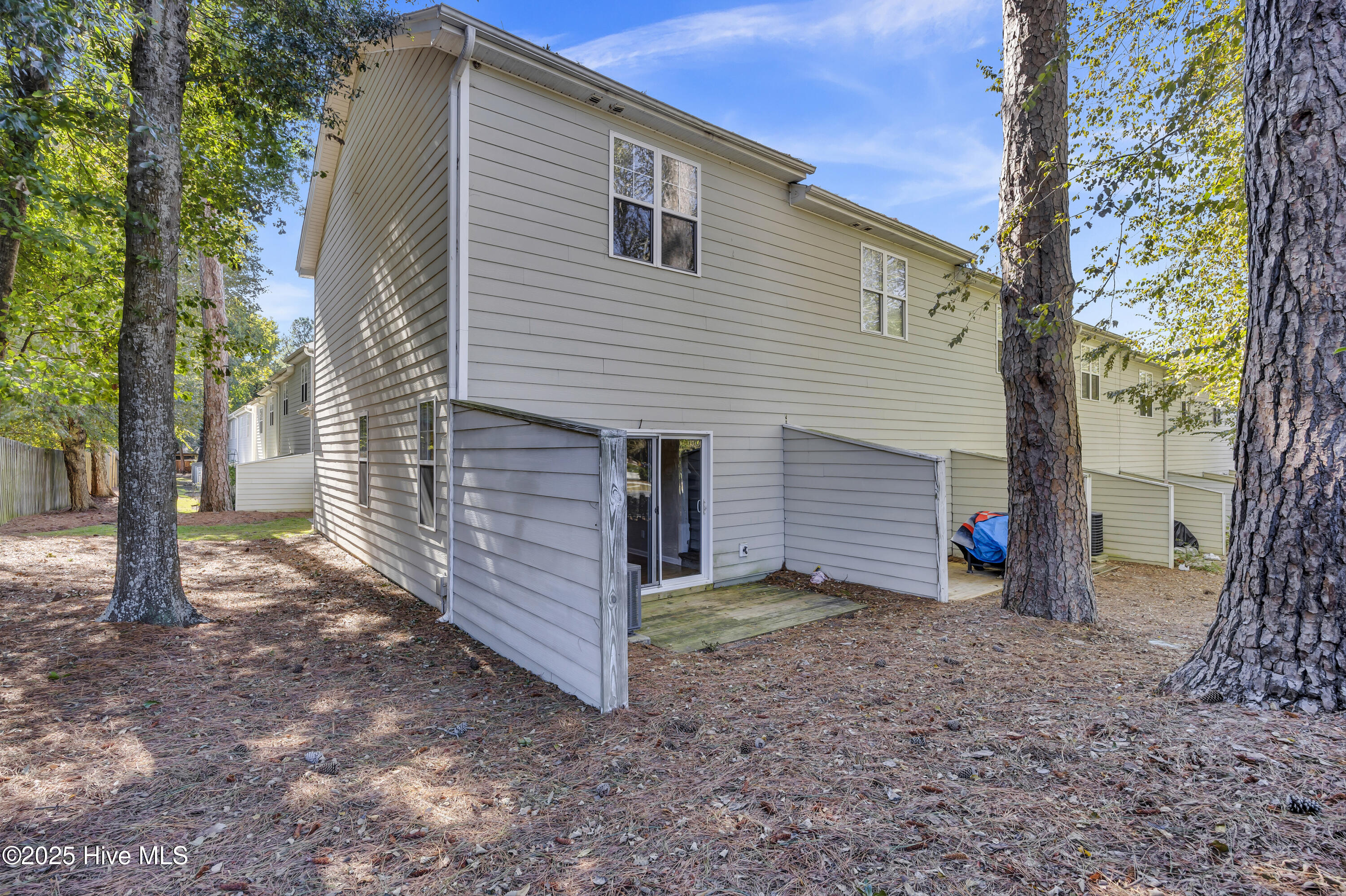 100538265 | Photo 25