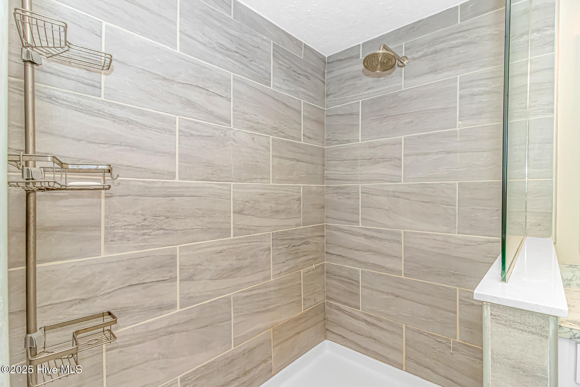 100510788 | Photo 23