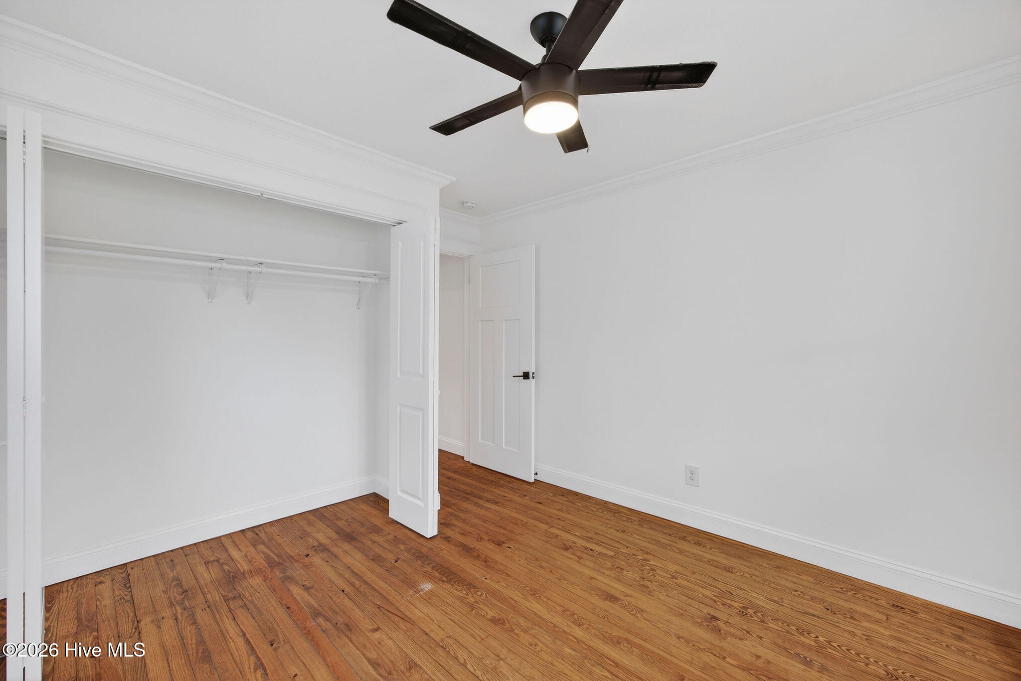 100549364 | Photo 24