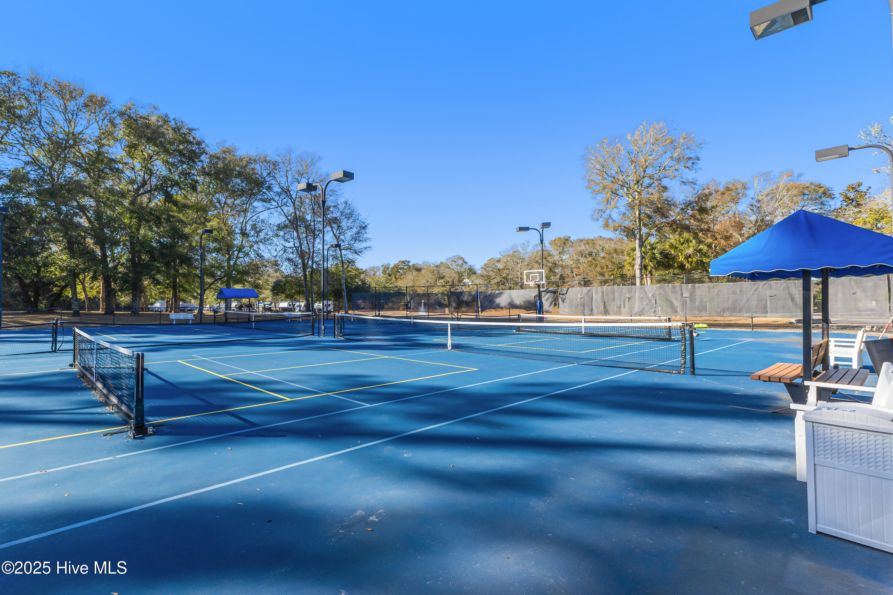 100513716 | Photo 21