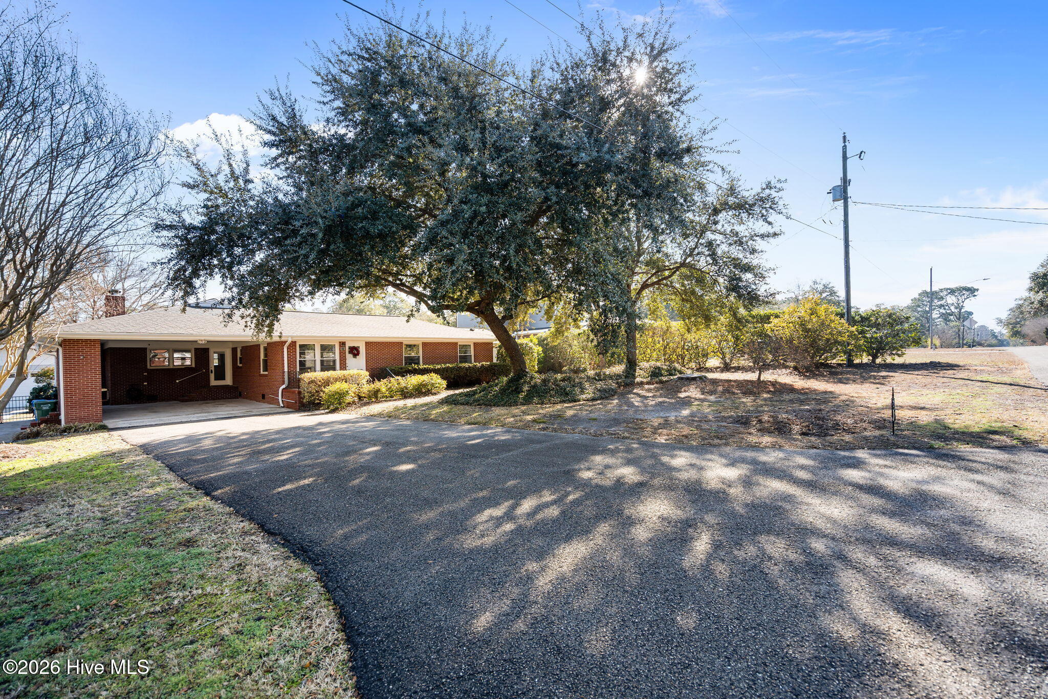 100548221 | Photo 58