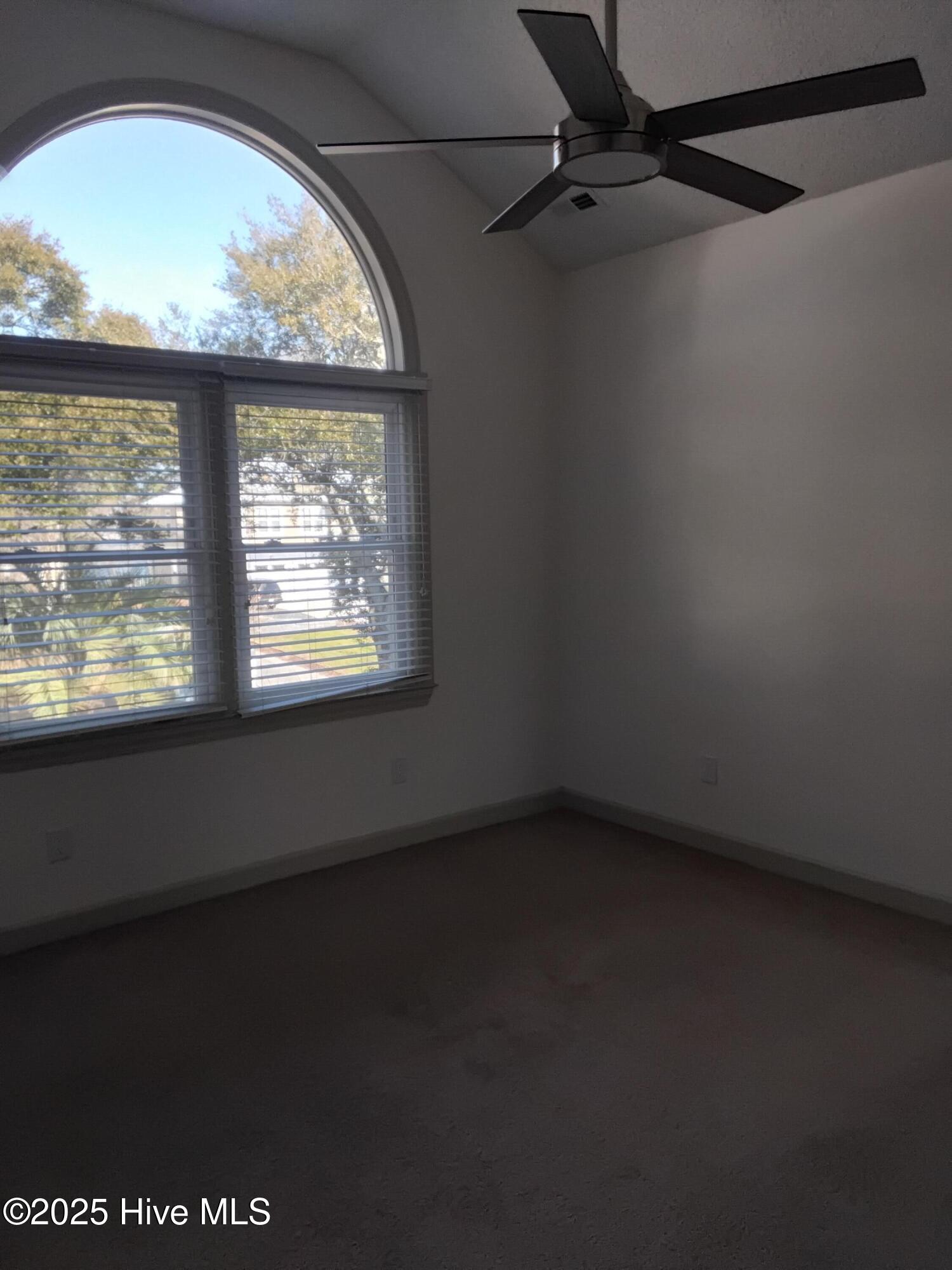 100546302 | Photo 22