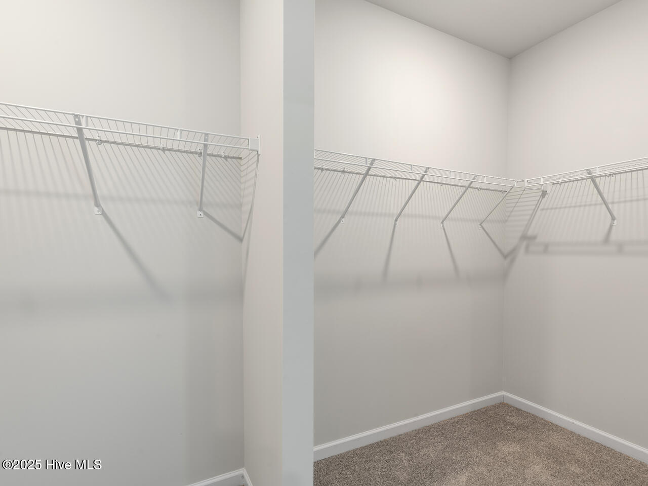 100555999 | Photo 22