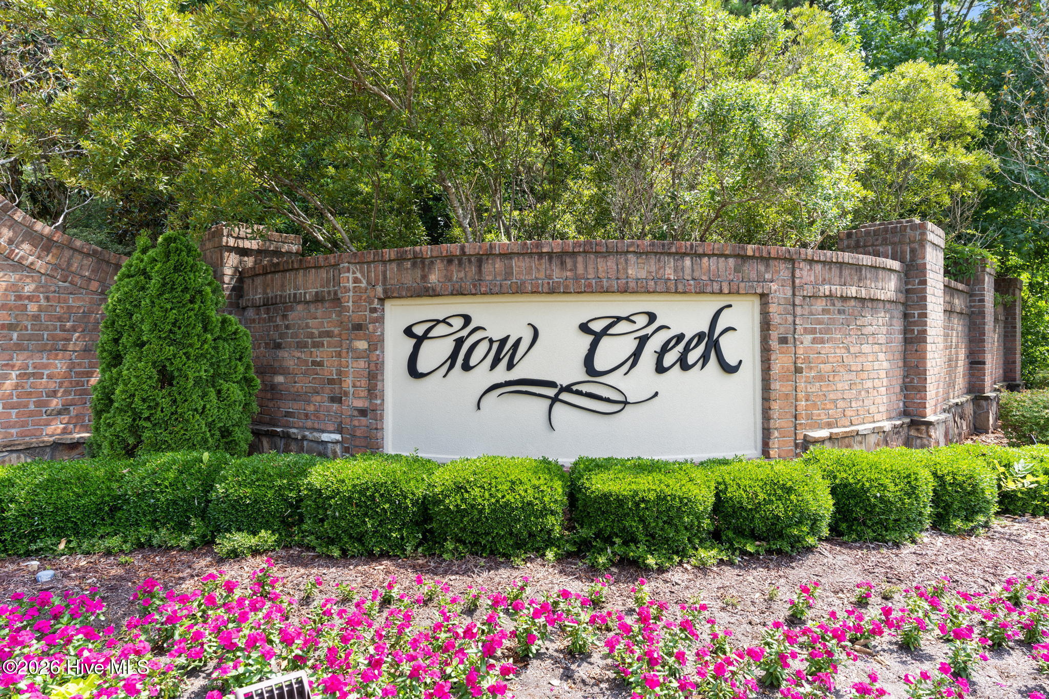 100564784 | Photo 63