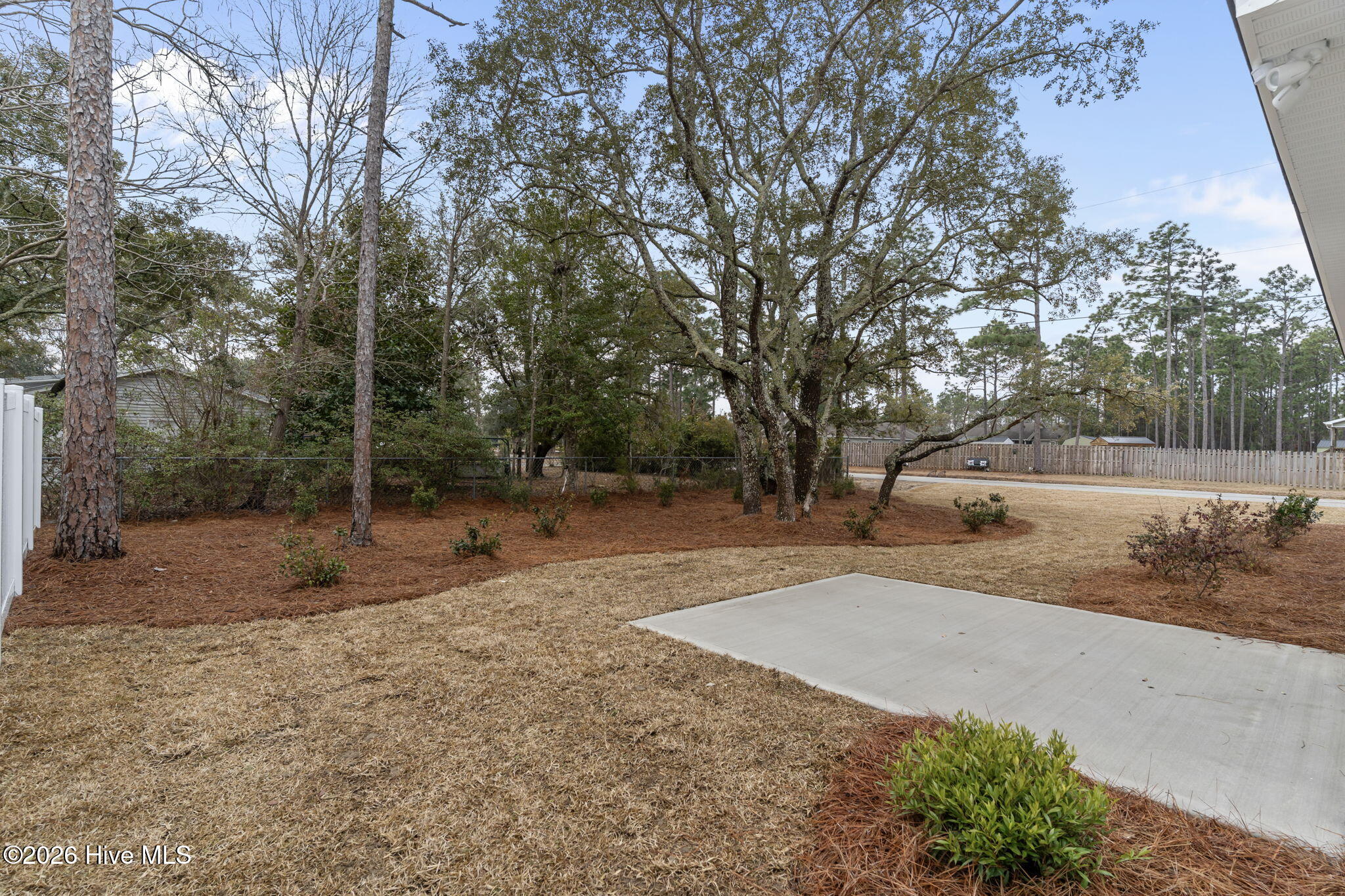 100553165 | Photo 41