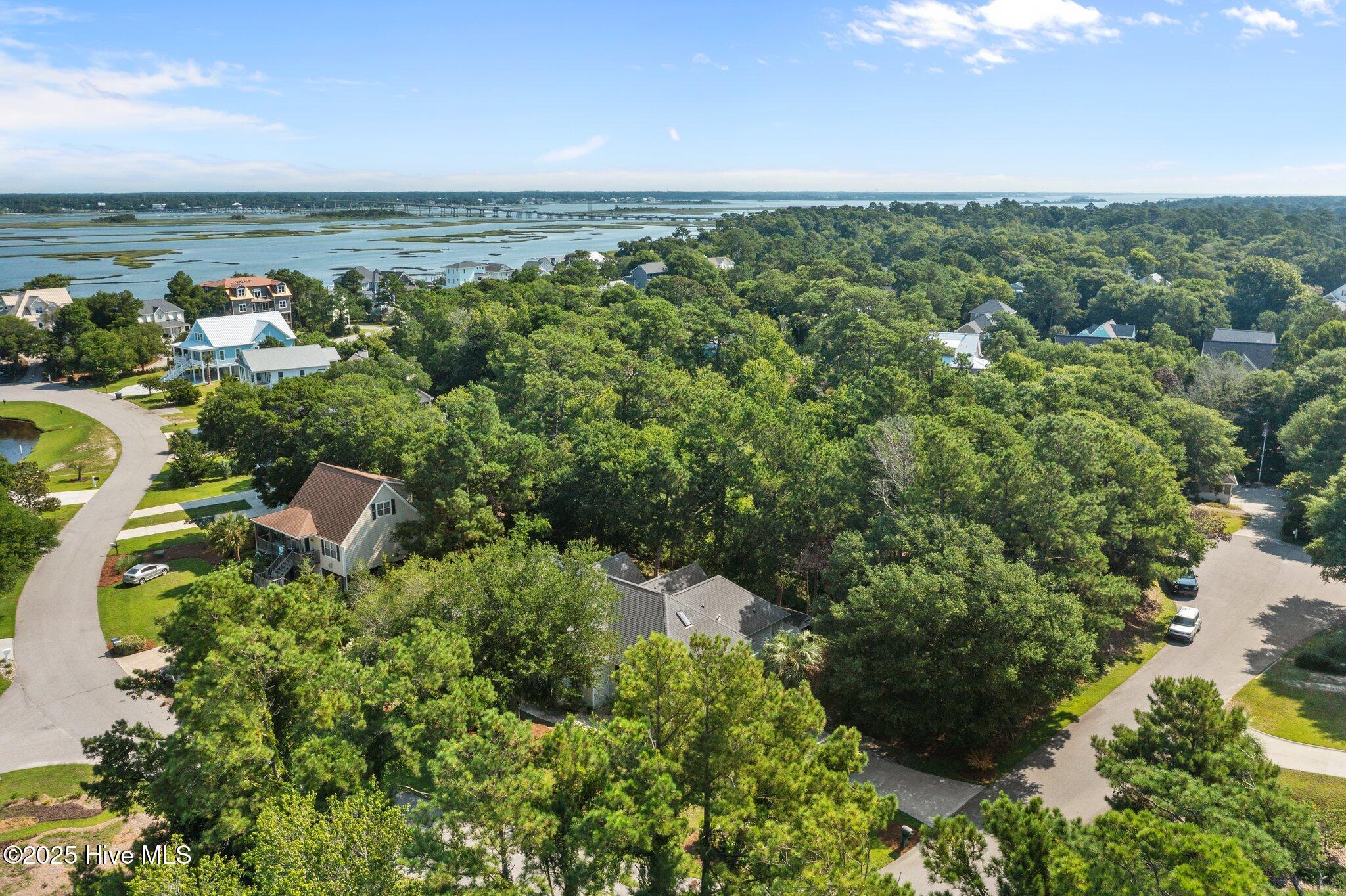 100519195 | Photo 50