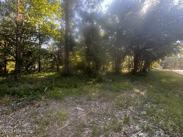 100583480 | Photo 4