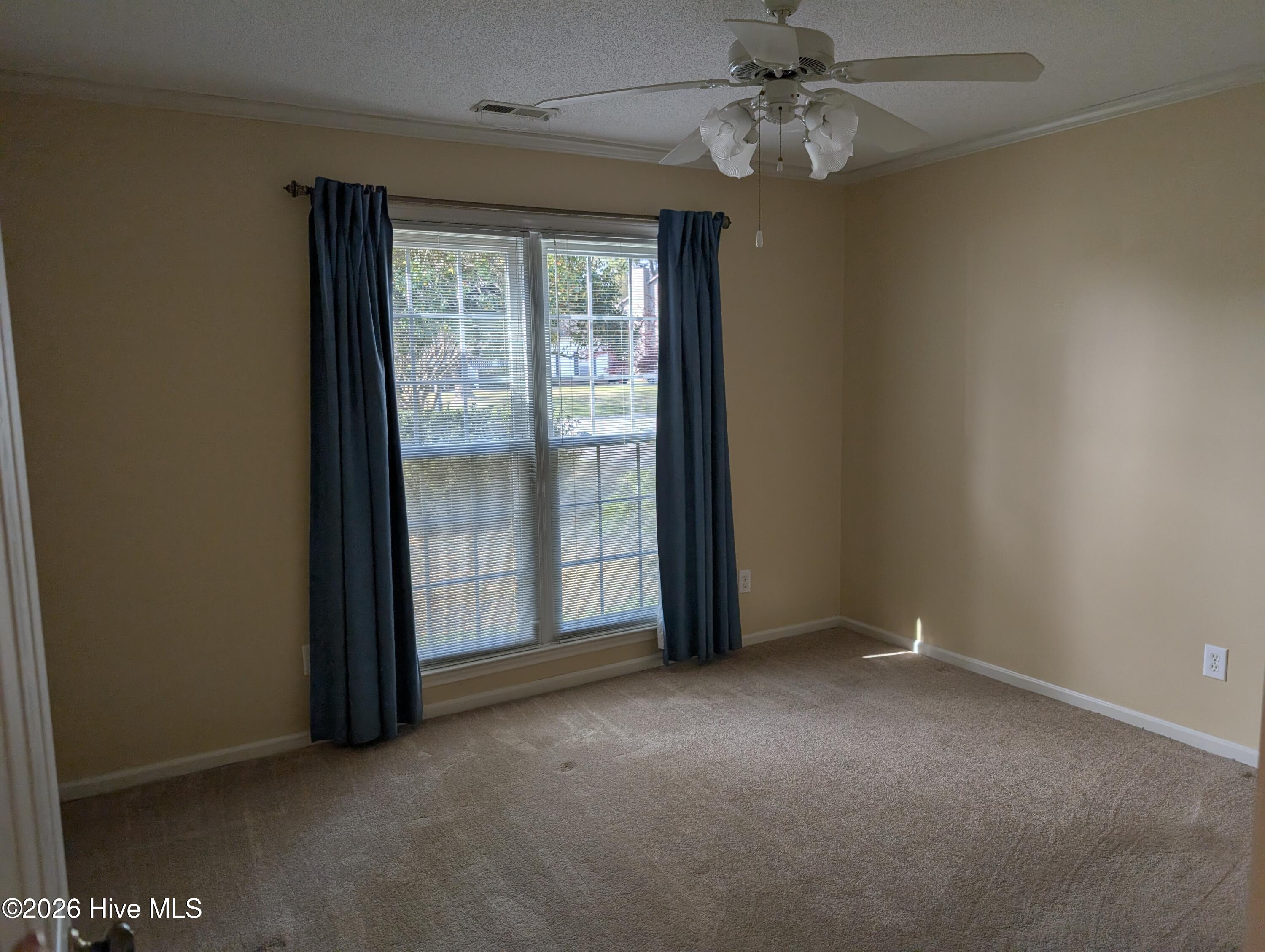 100561832 | Photo 24