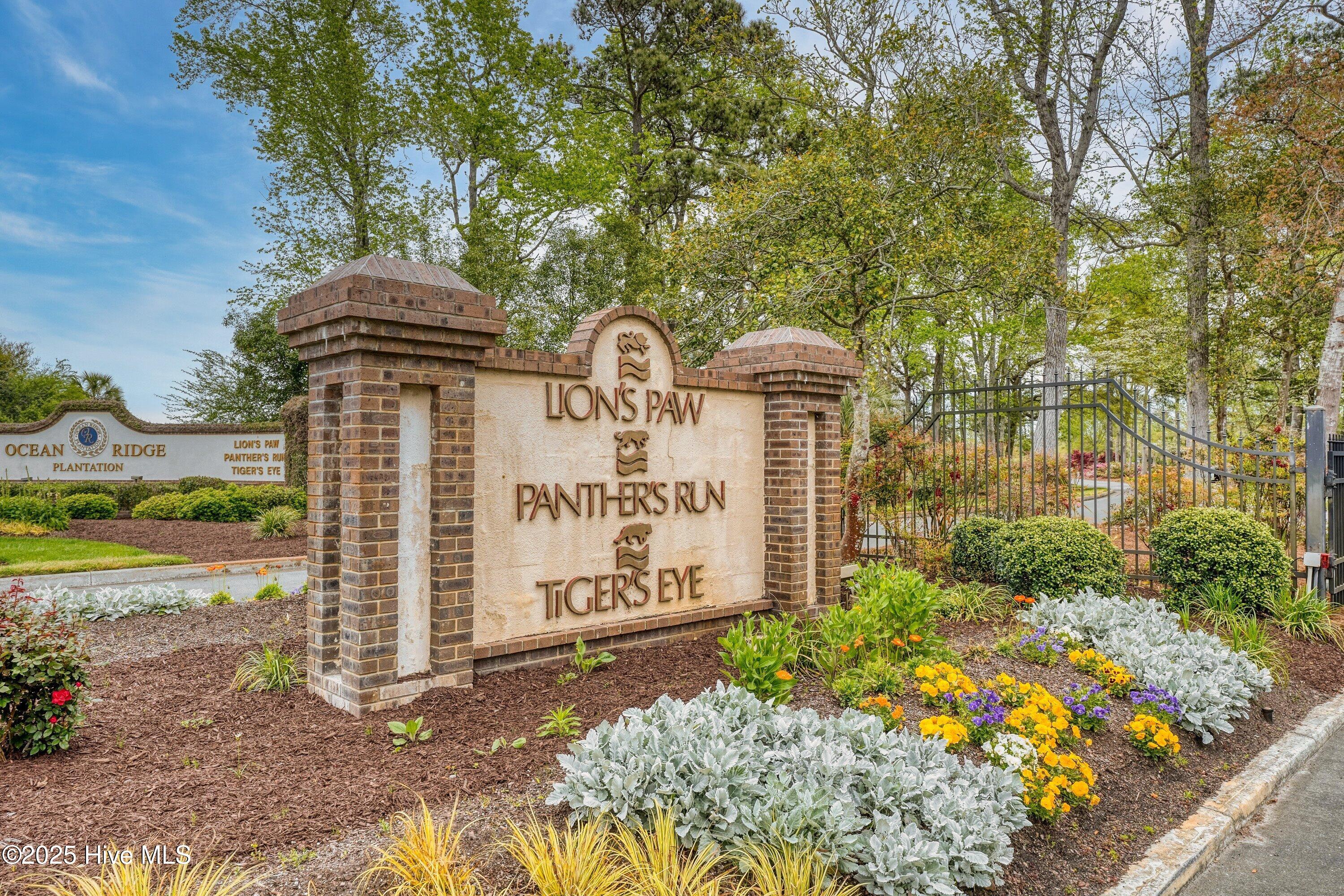 100528105 | Photo 66