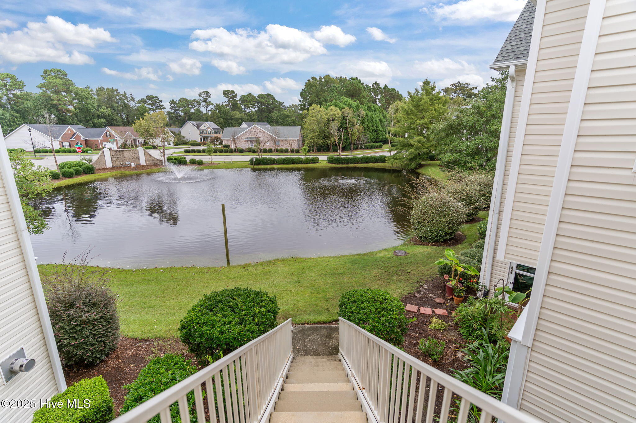 100532353 | Photo 39