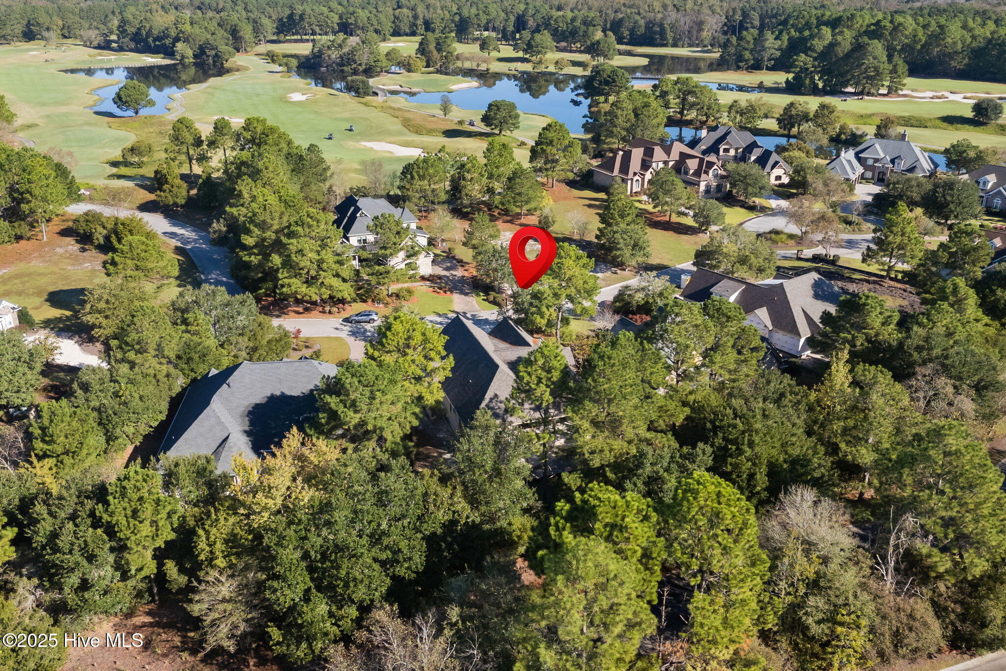 100525110 | Photo 38