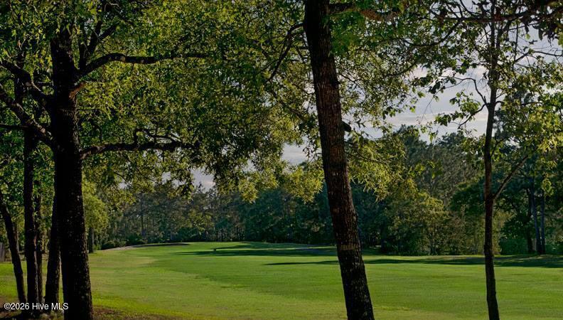 100560023 | Photo 24