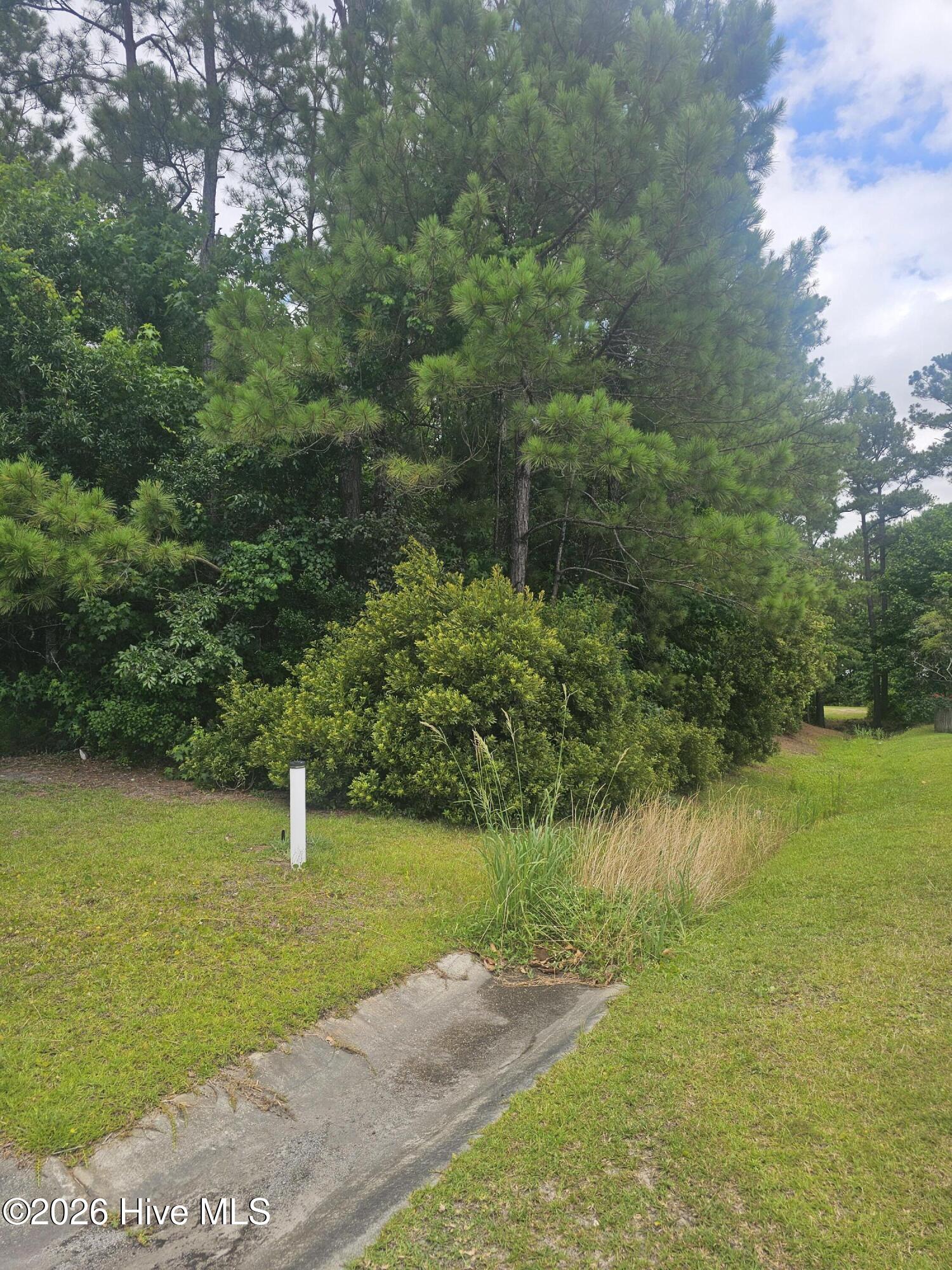 1802 227 Arctic Tern Court,Morehead City