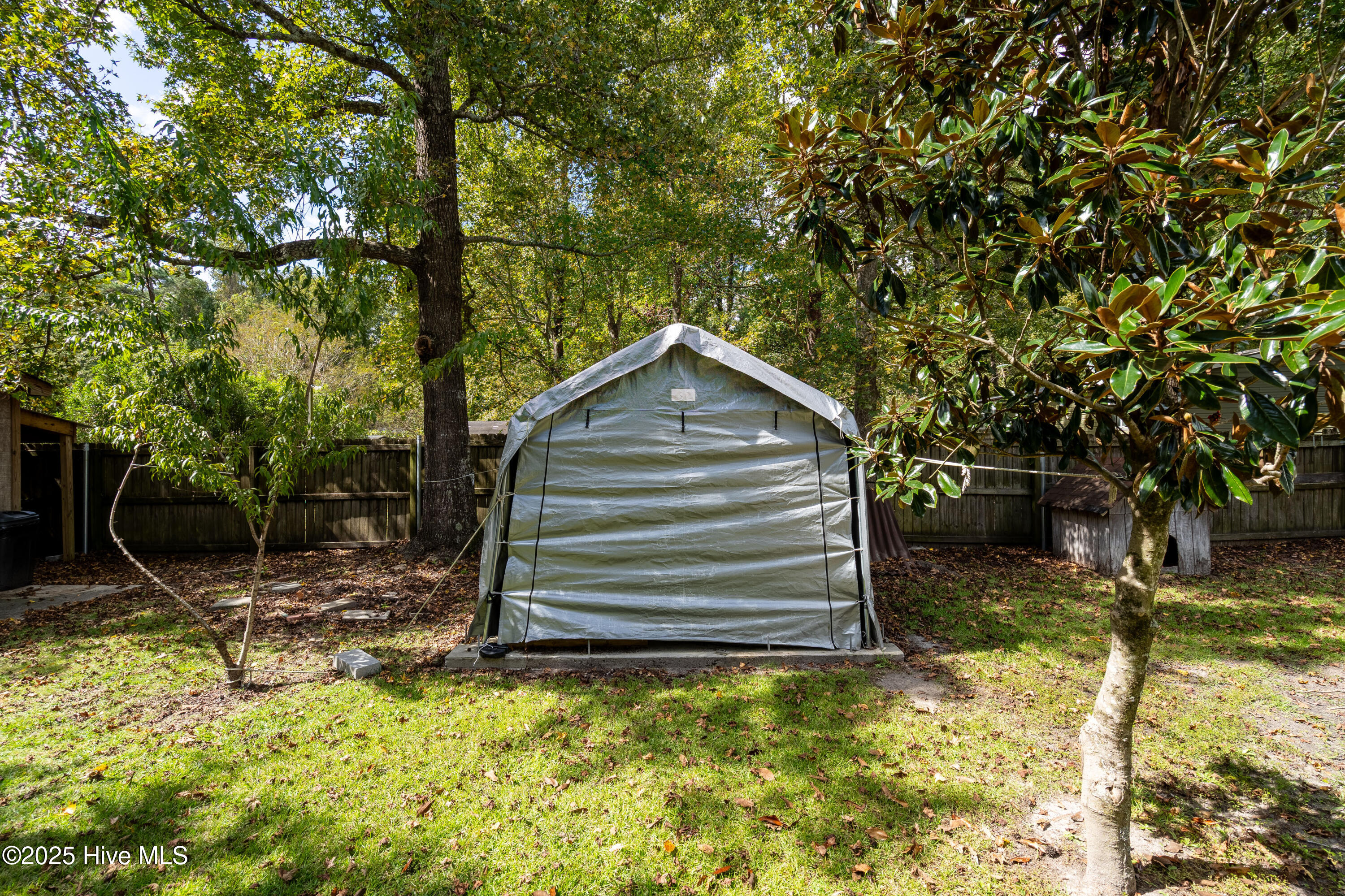 100535124 | Photo 22