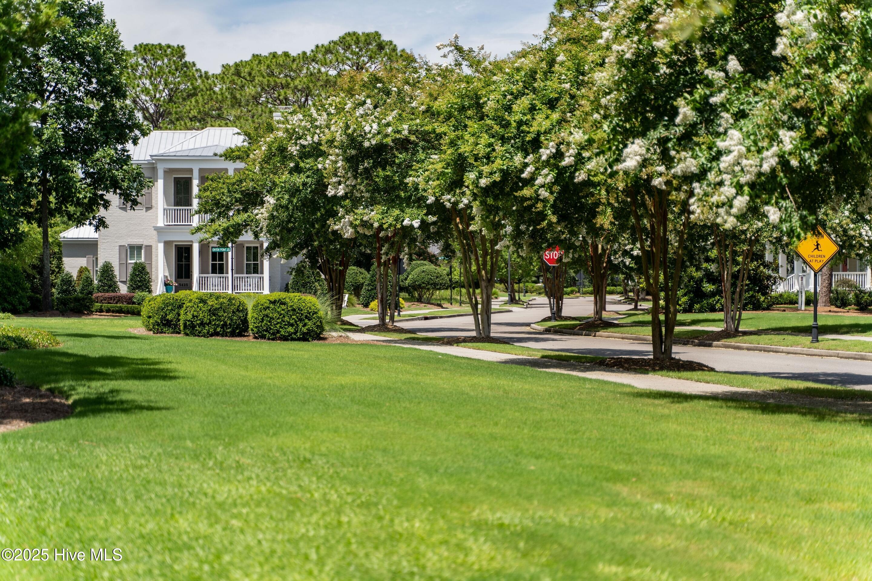 100542273 | Photo 73