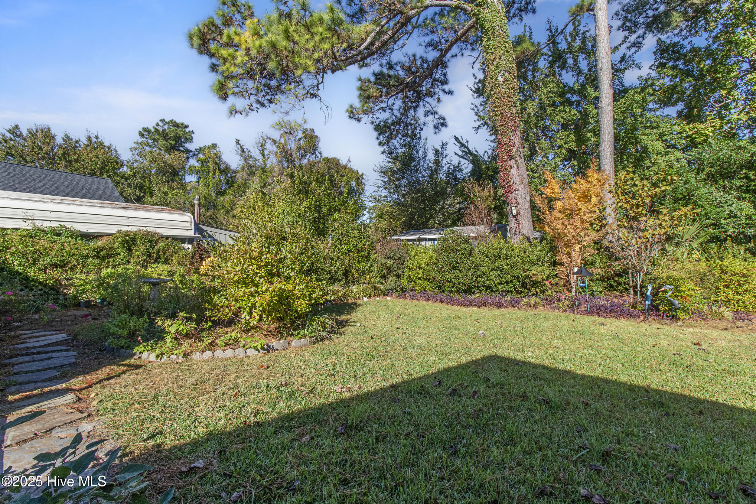 100537992 | Photo 41