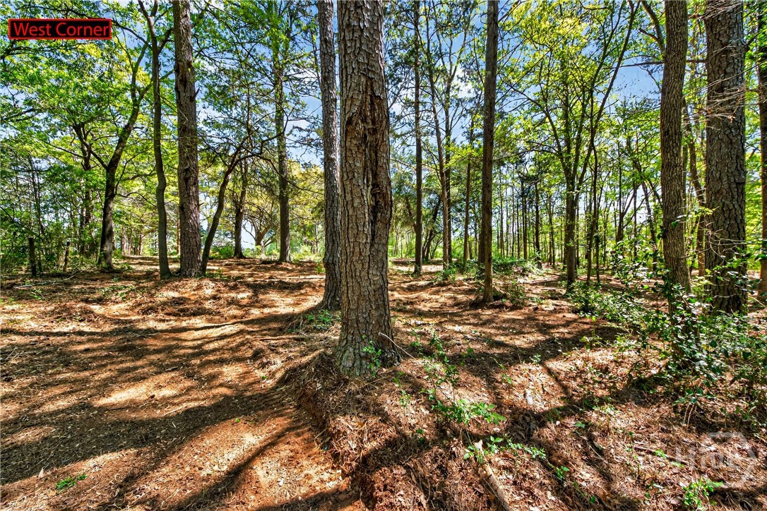 2330 Greensboro Highway, Watkinsville, GA, 30677