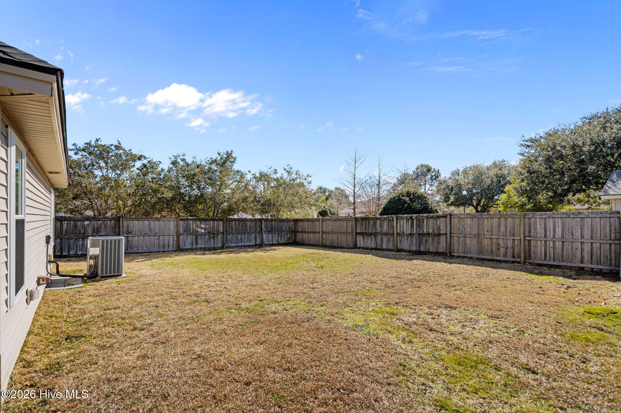 100556215 | Photo 49