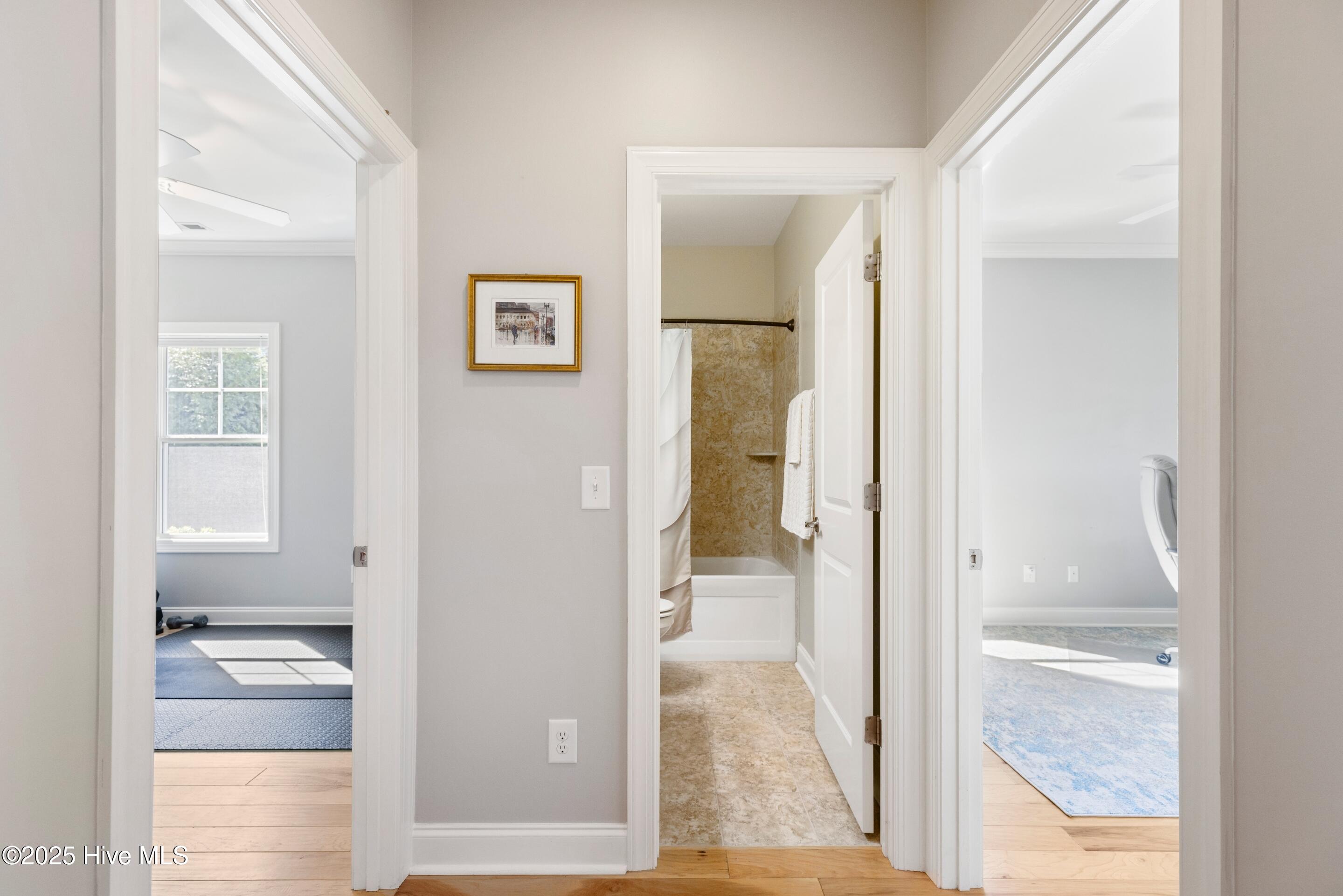 100537619 | Photo 25