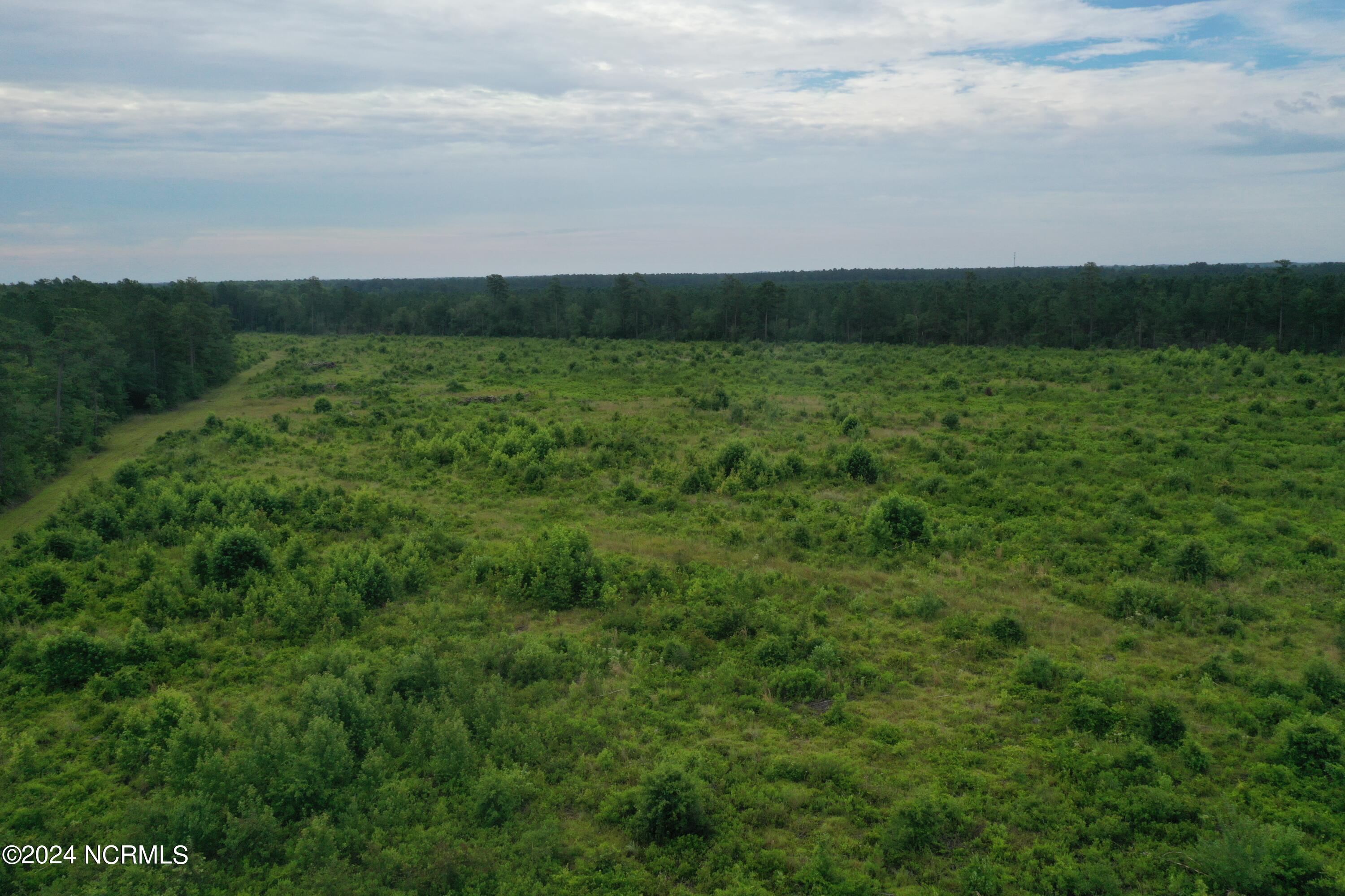 3506 Whitehall Road, Whiteville, NC, 28472