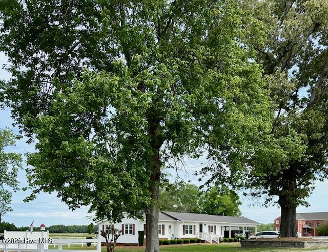 100554772 | Photo 19