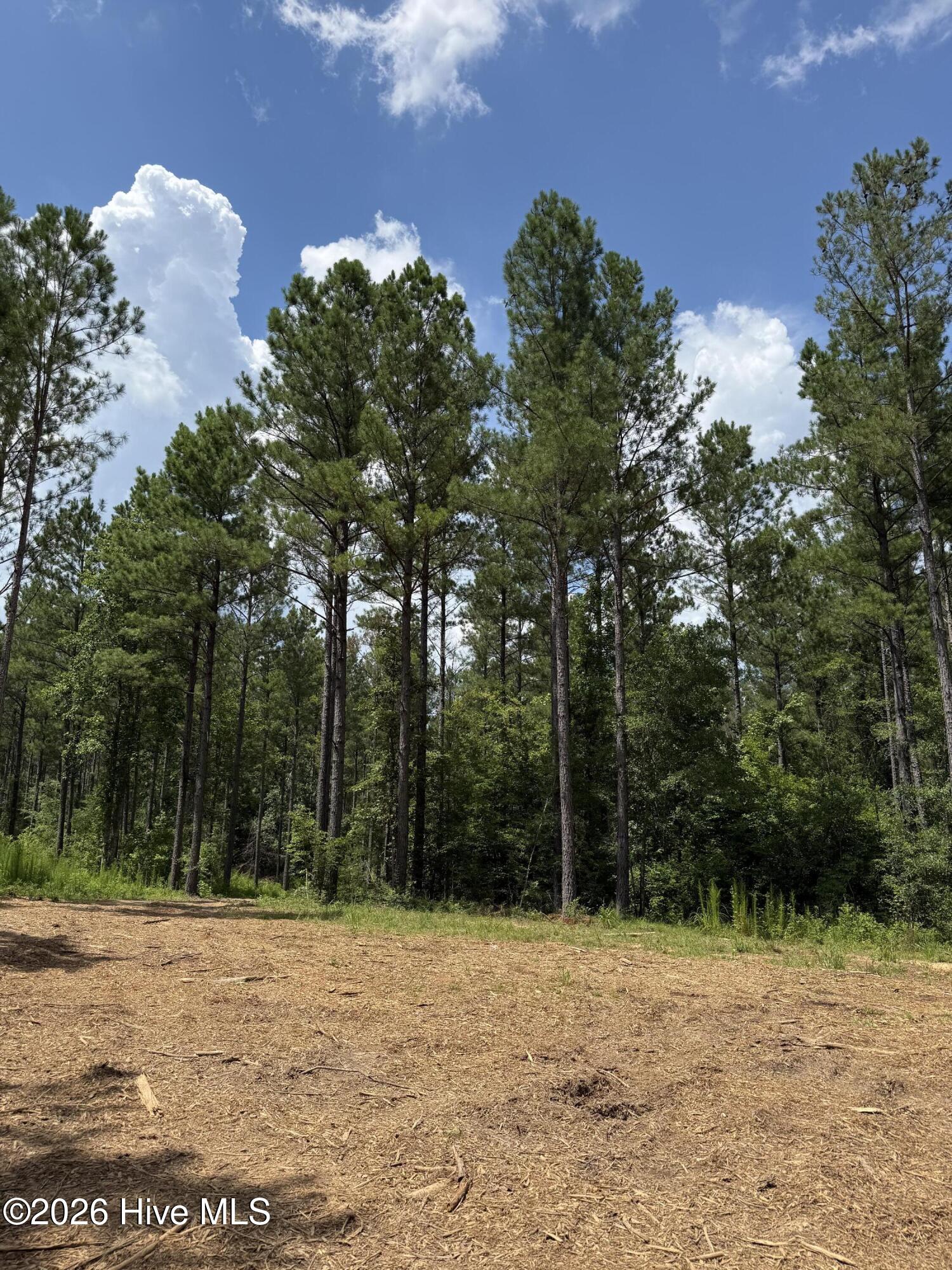 Photo 3 of Land for sale at Lot 5 Christian Rd, Mc Cormick, SC 29835 | MLS# 100608852 | Listing updated on 2026-10-07