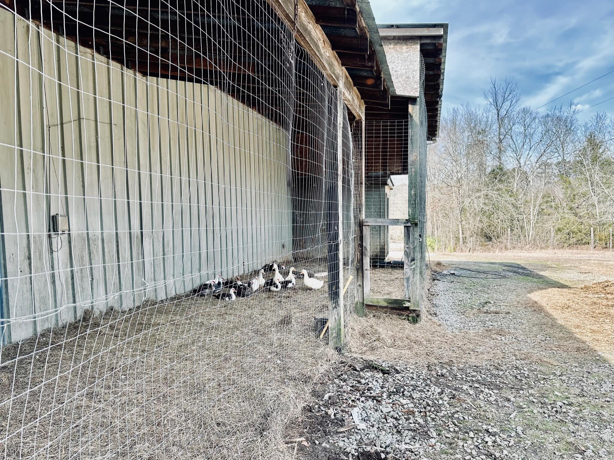 Homes for sale in Washington, GA | 2514 Greensboro Rd, Washington, GA 30673 | MLS# 525323