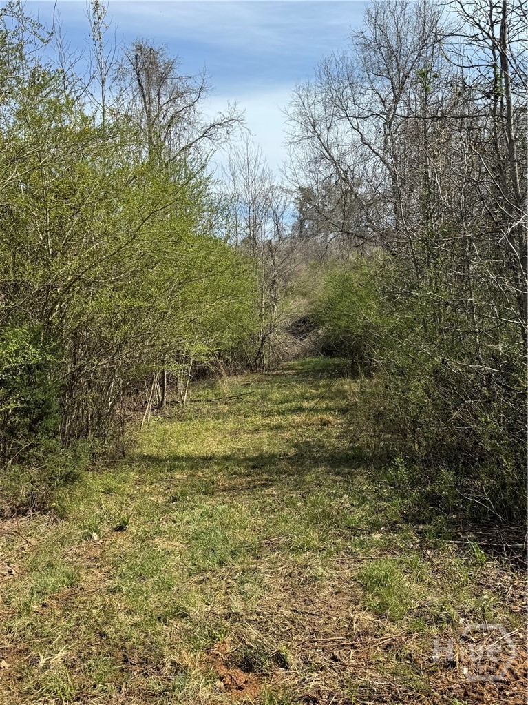 738 Old Mineral Springs Road, Elberton, GA, 30635