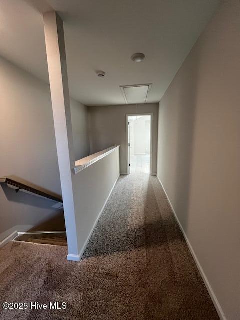 100534047 | Photo 15