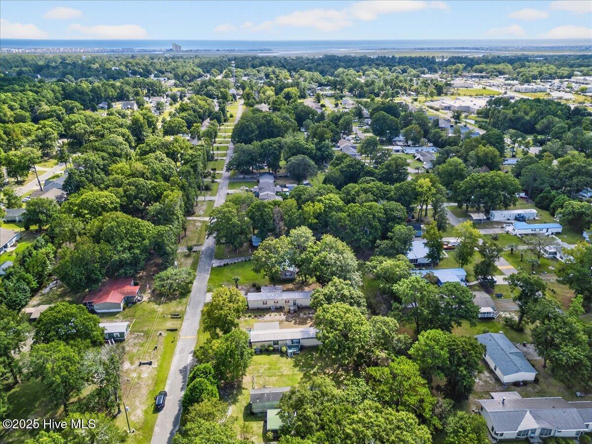 100534395 | Photo 11