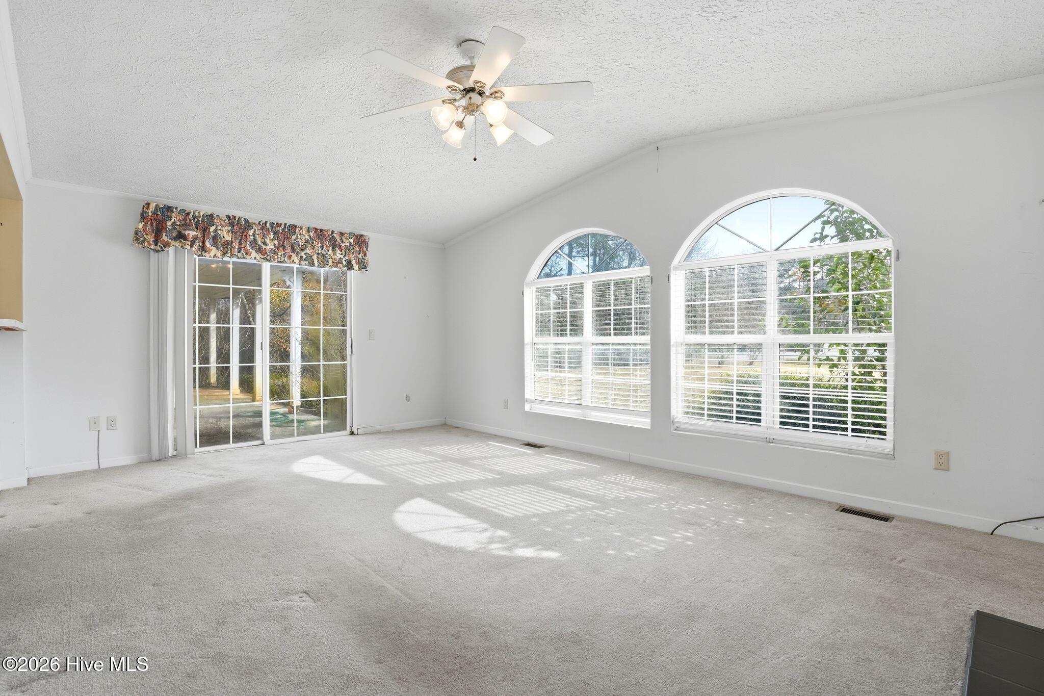 100556115 | Photo 52