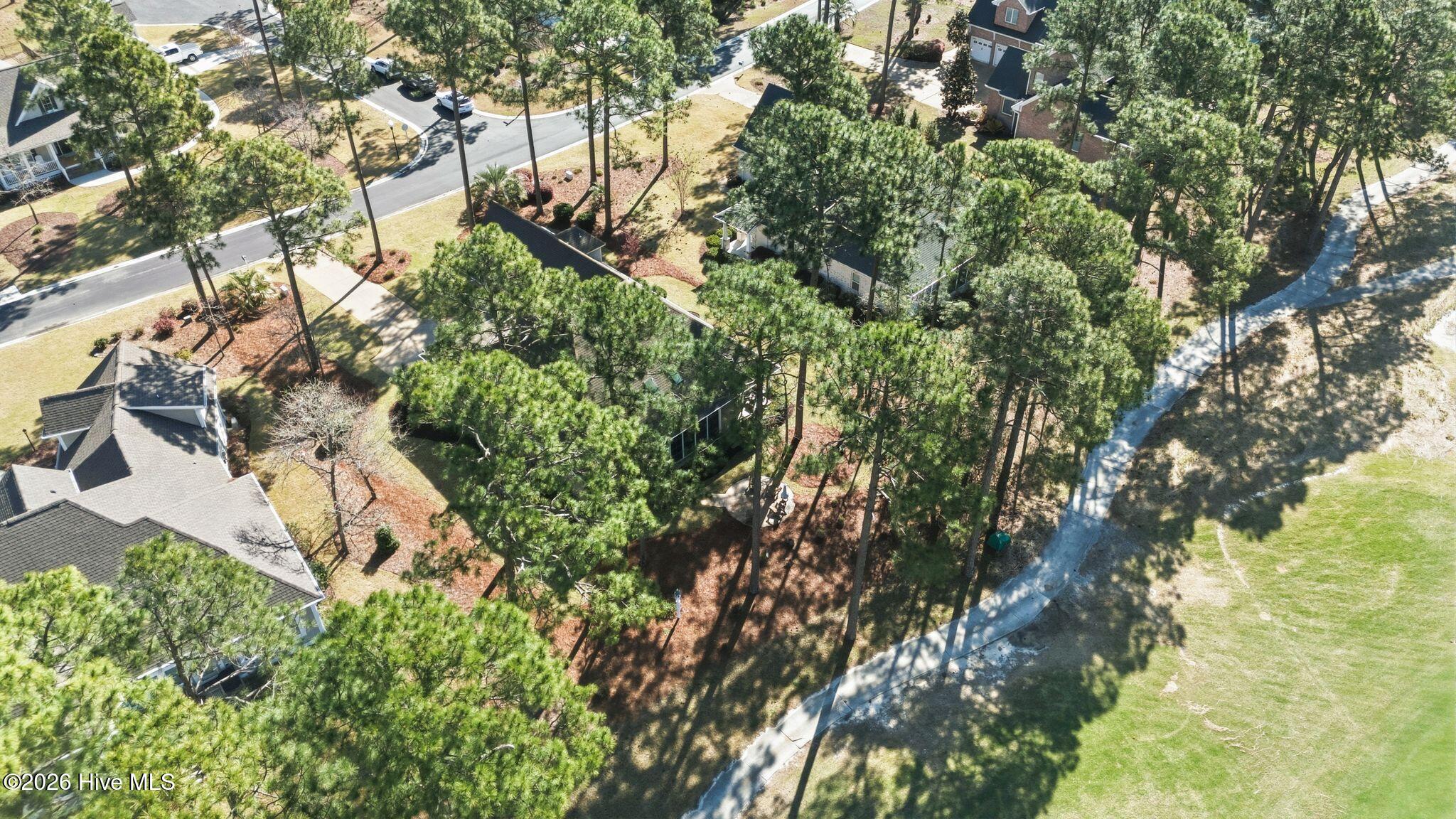 100564432 | Photo 93