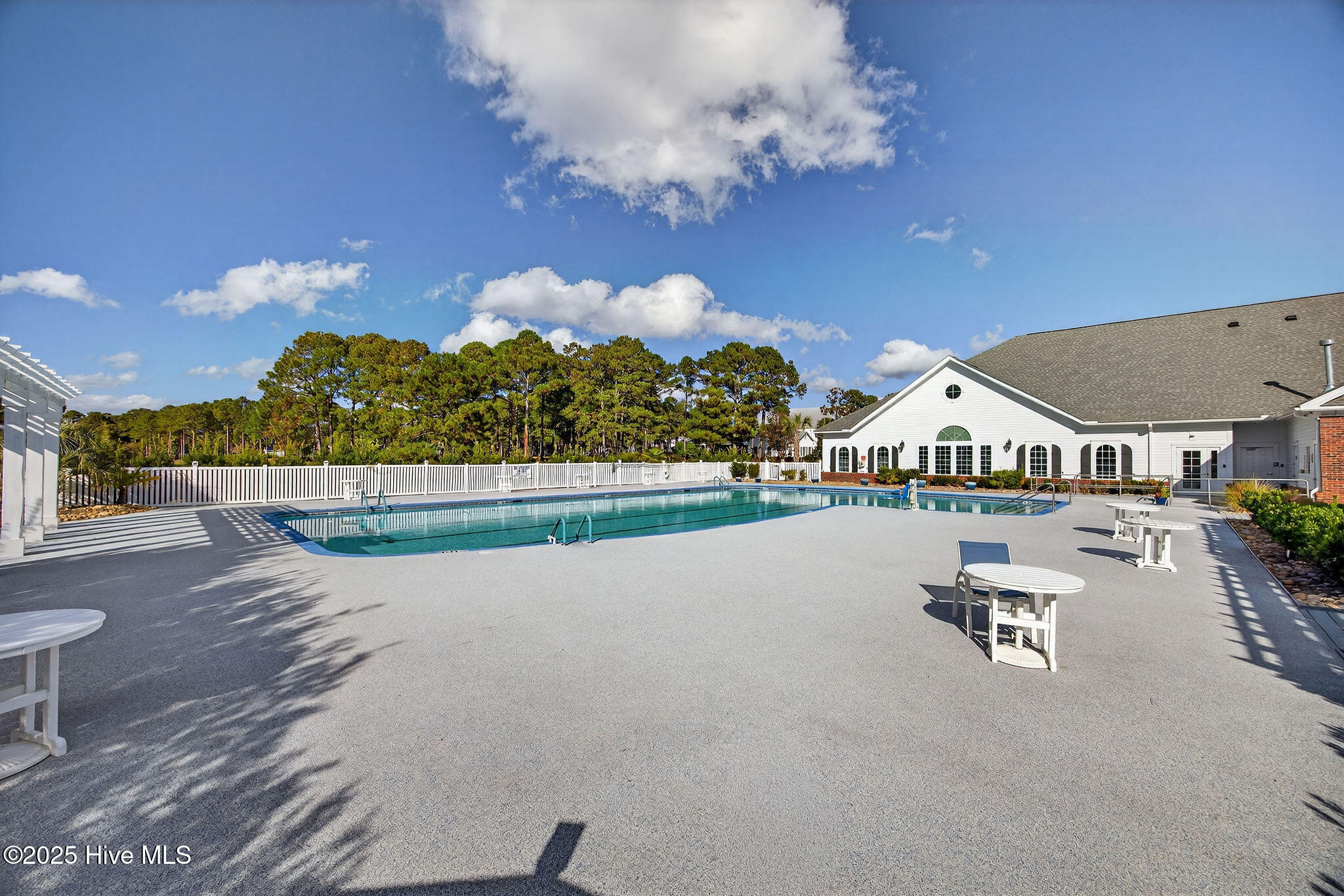 100541027 | Photo 50