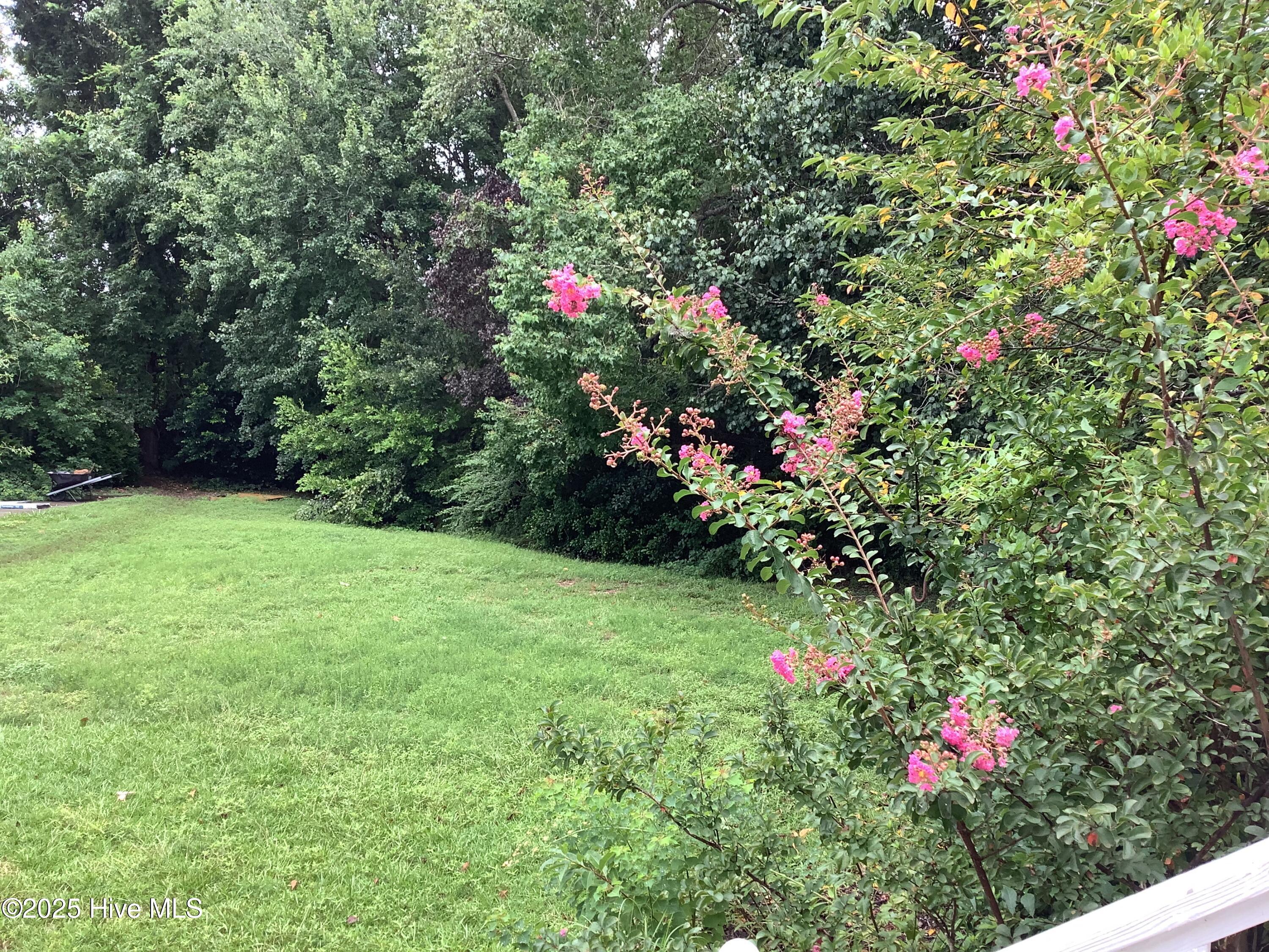 100524390 | Photo 38