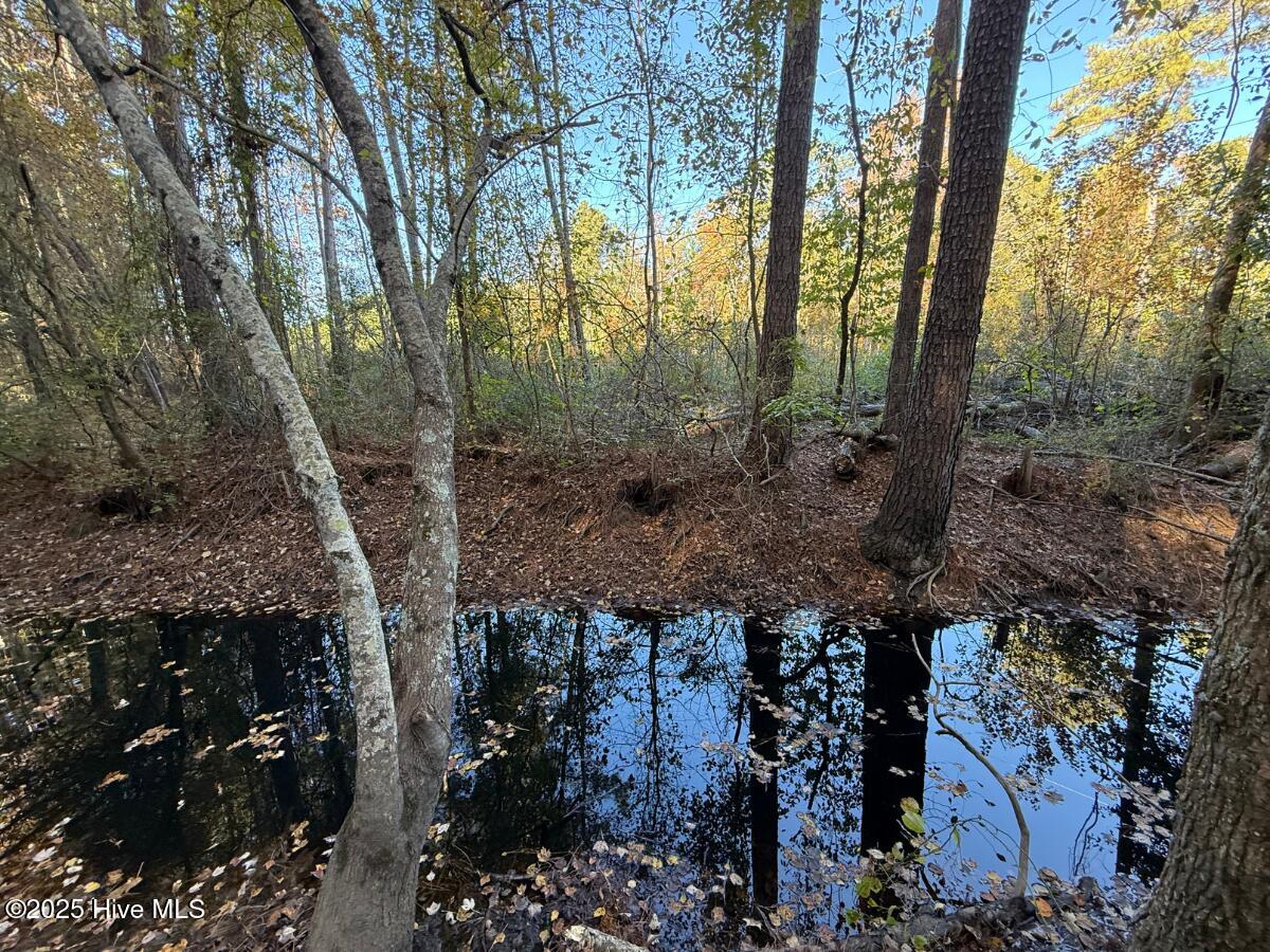 100540348 | Photo 31