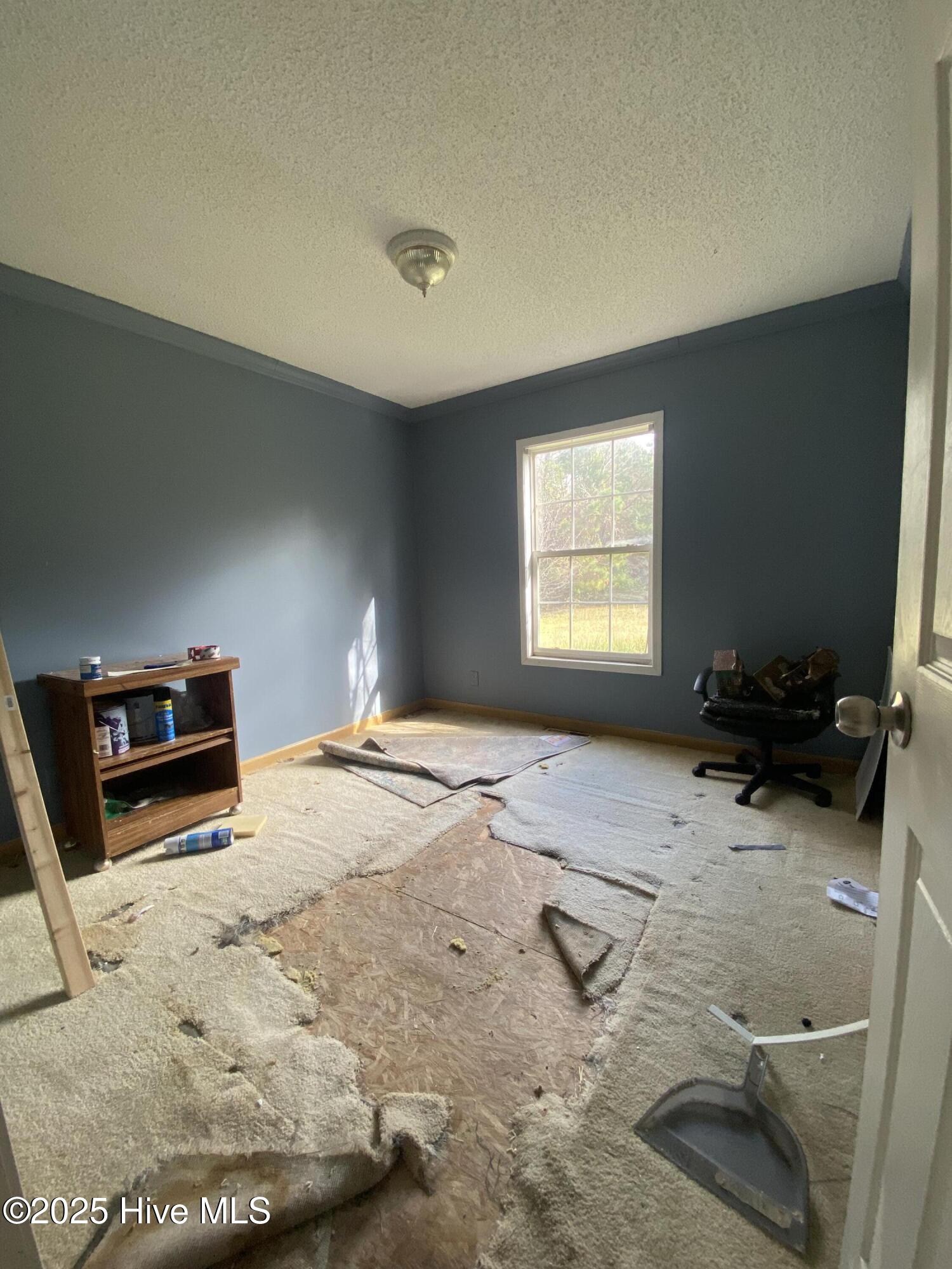 100543834 | Photo 21