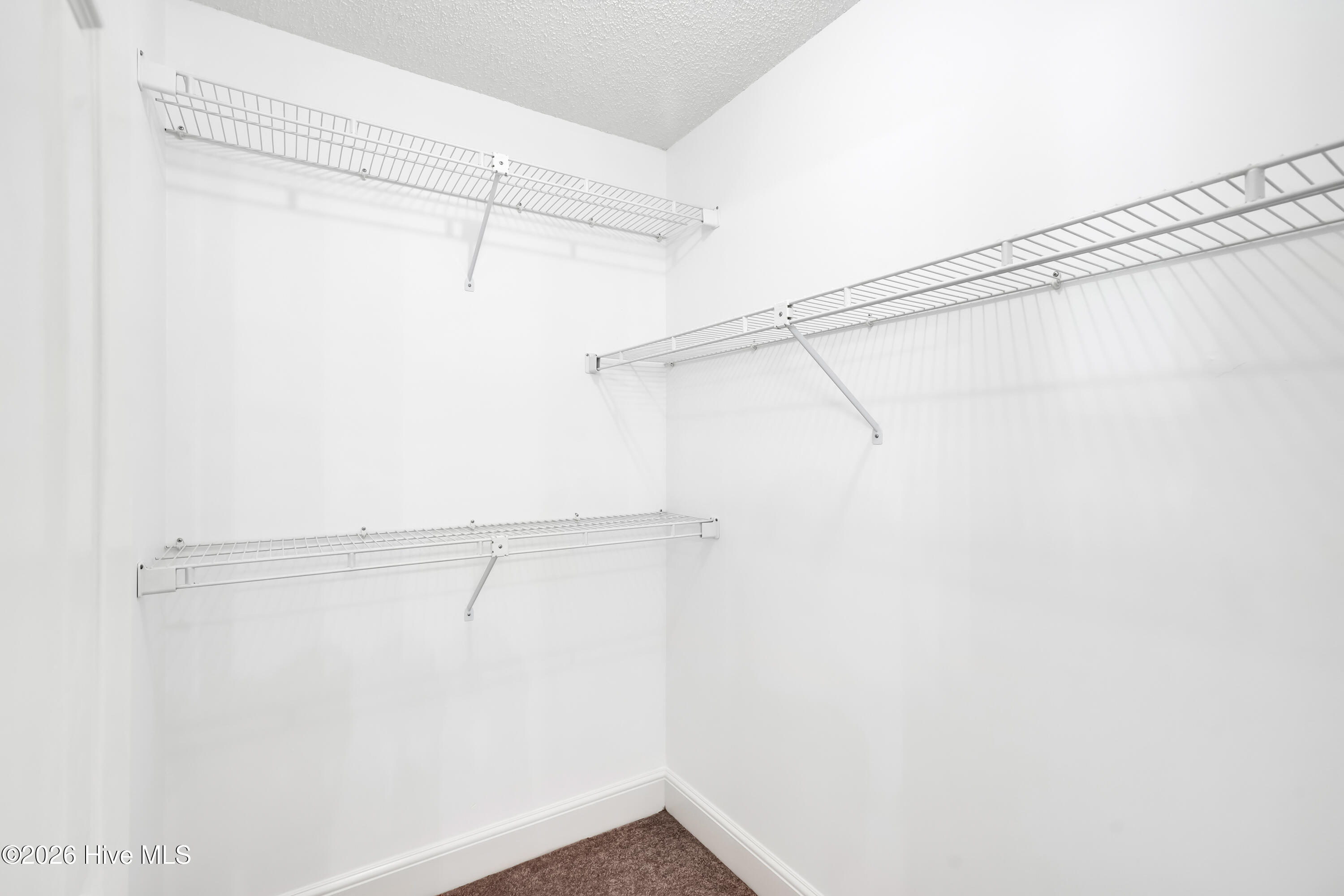 100570472 | Photo 25