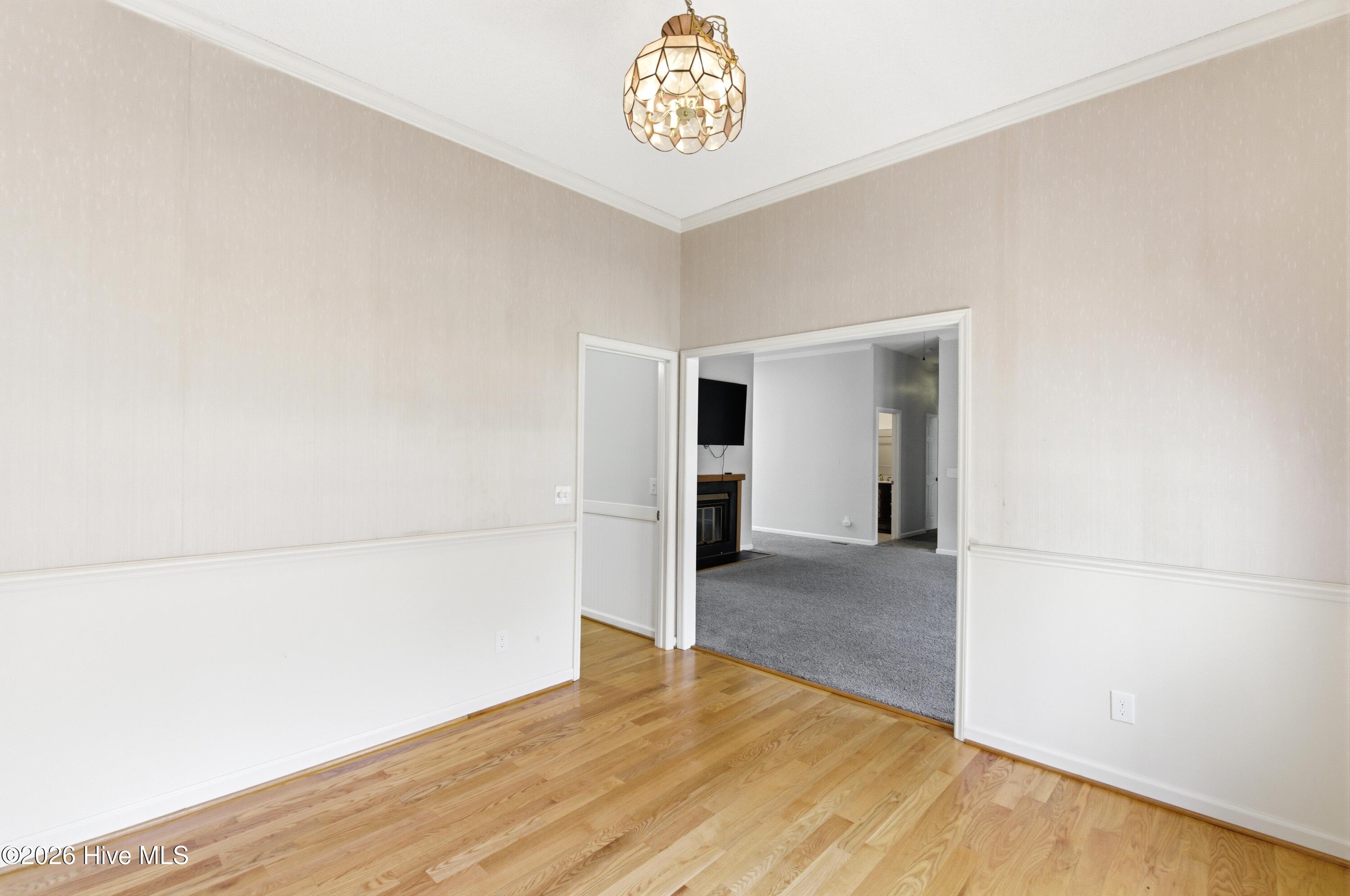 100562679 | Photo 11