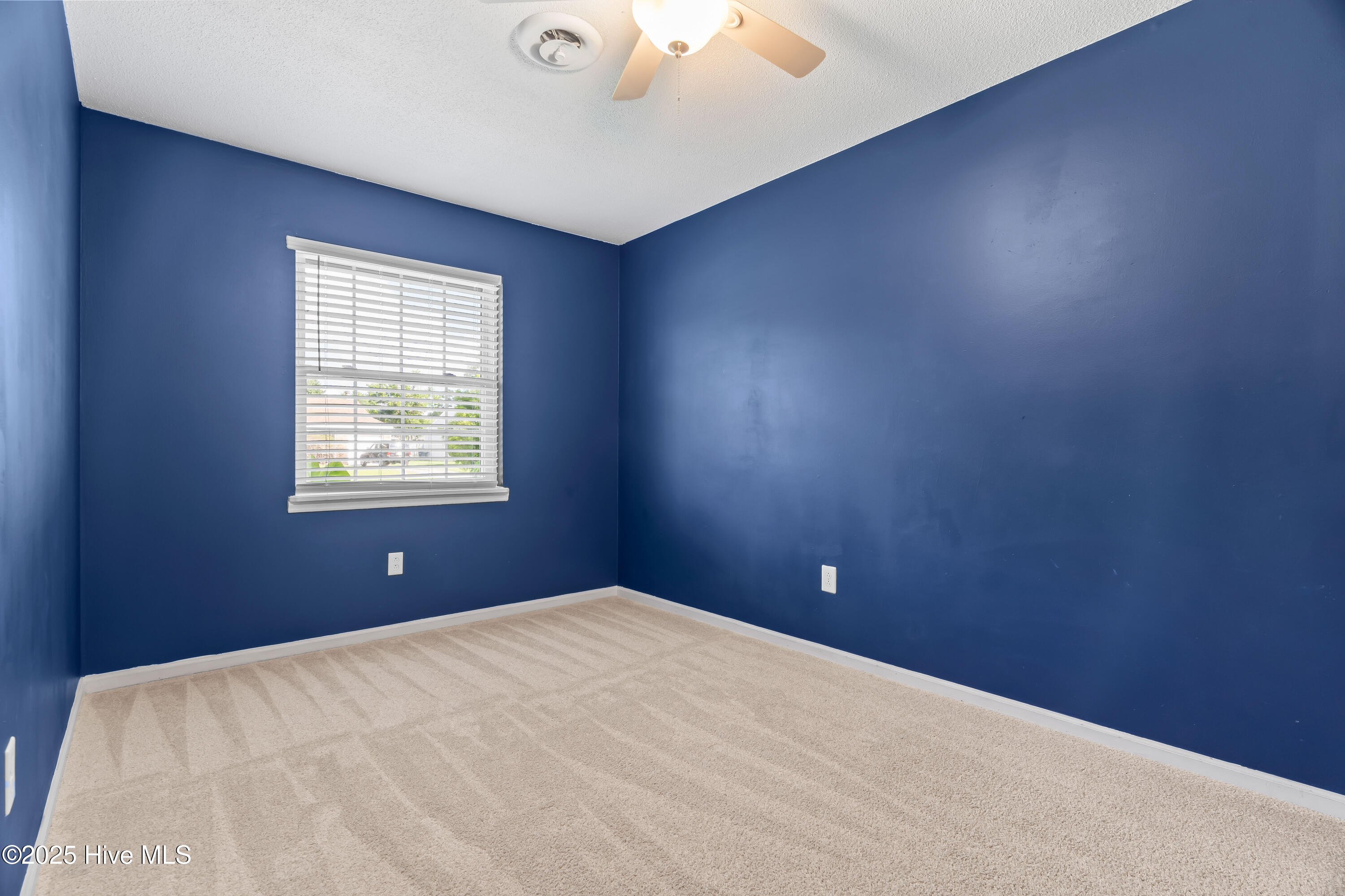 100566648 | Photo 21