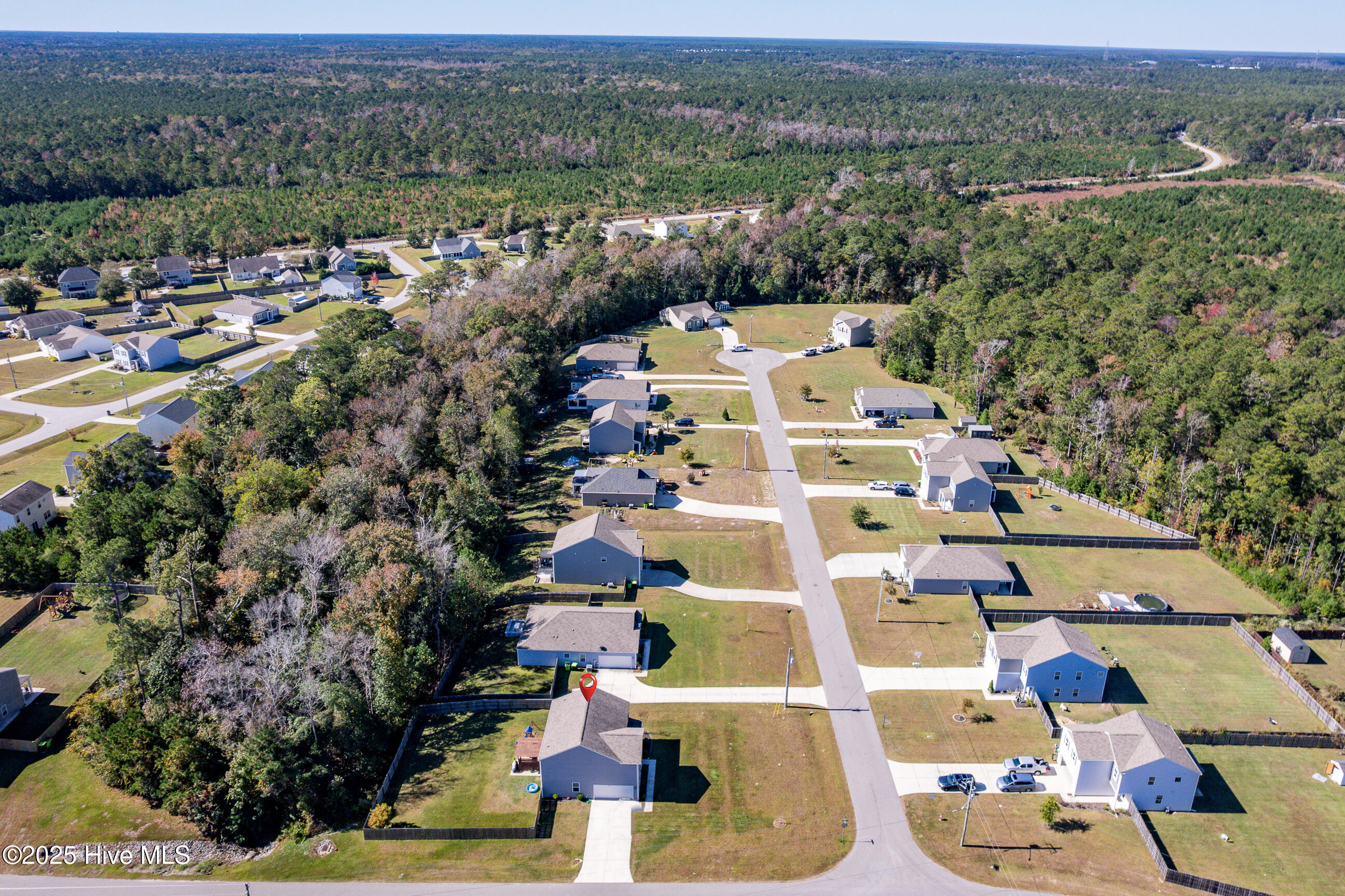 100539677 | Photo 40