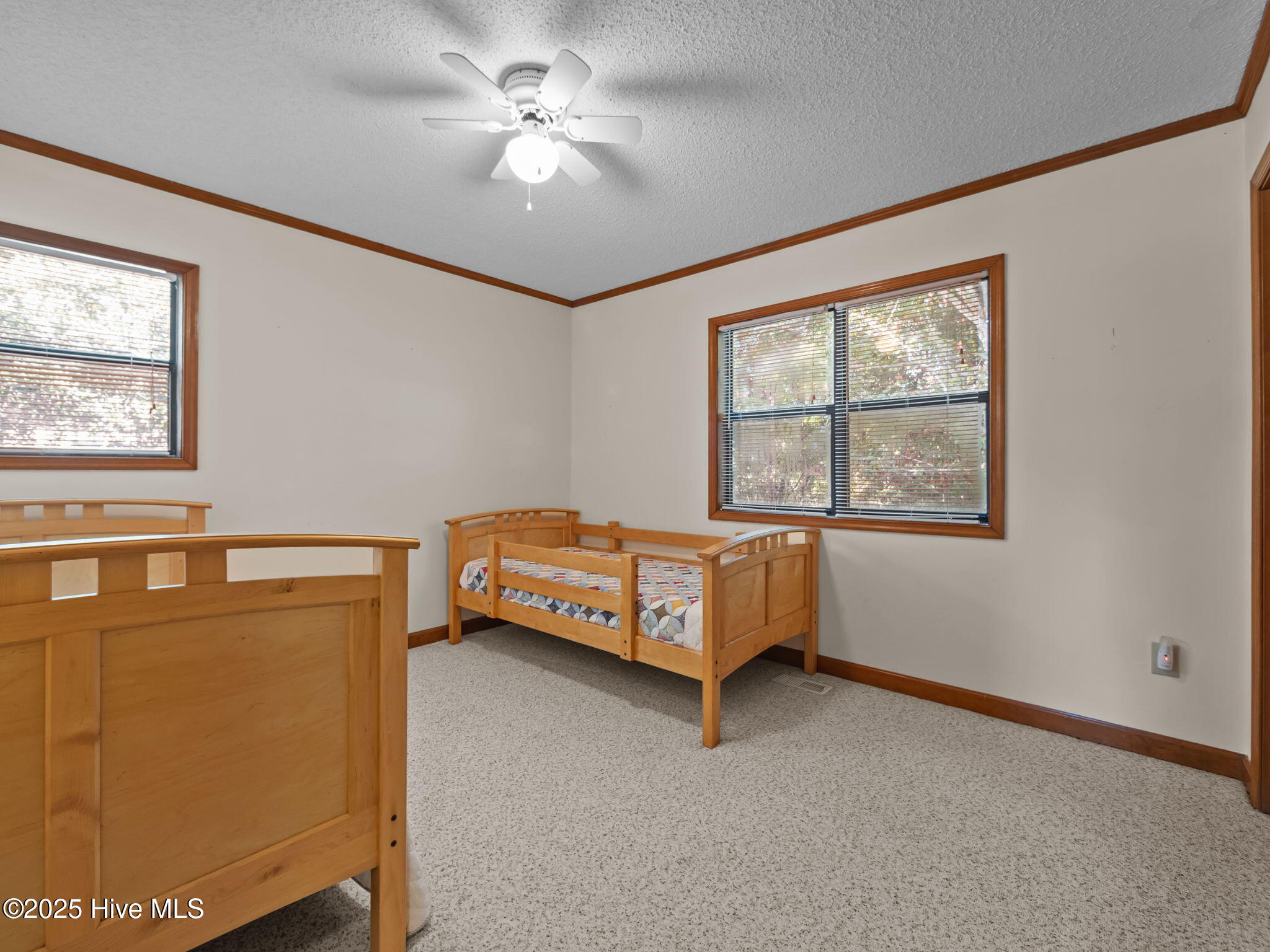 100533073 | Photo 26