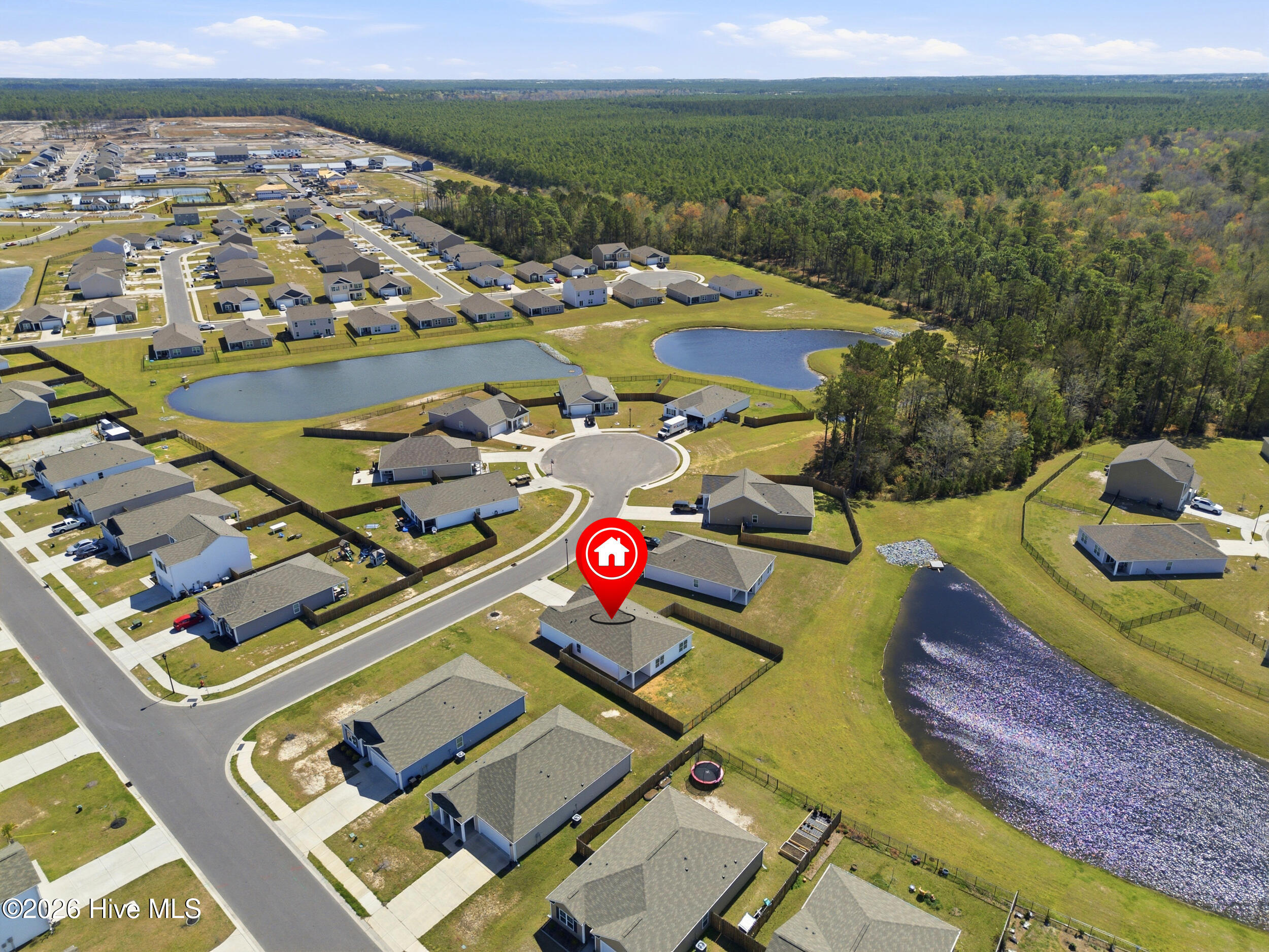 100558236 | Photo 43